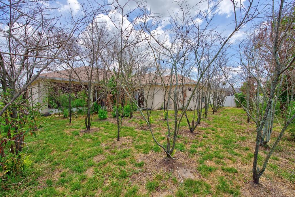 306 Terranova Blvd Property Photo 46
