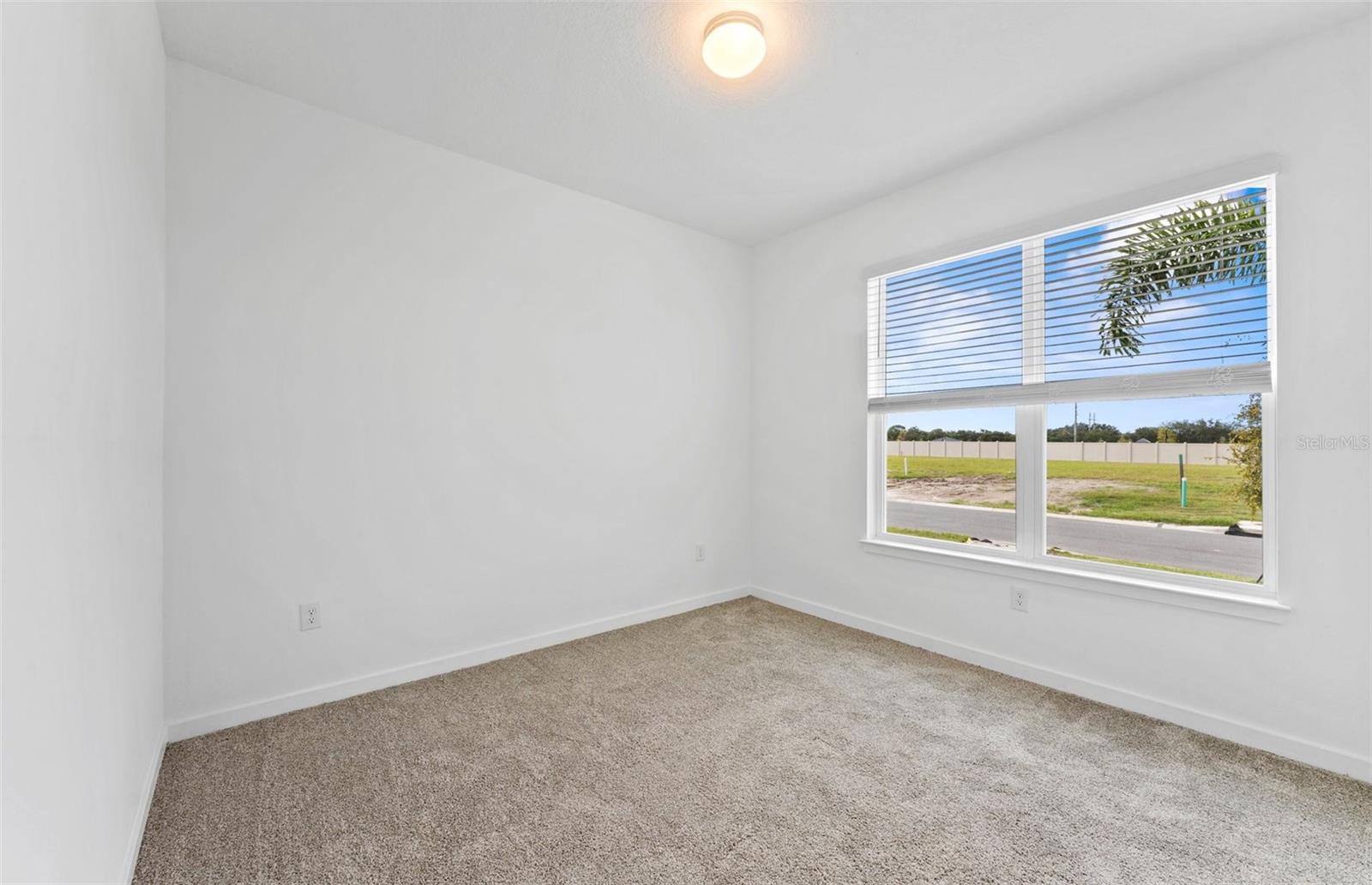 9883 Hickory Pines Ave Property Photo 10