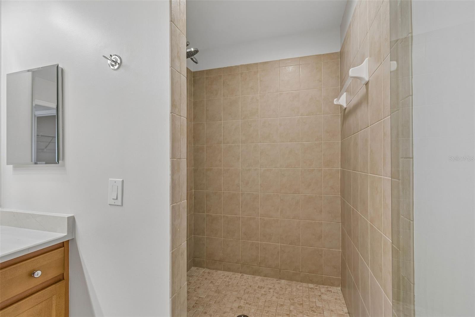 12033 Gandy Blvd N #151 Property Photo 35