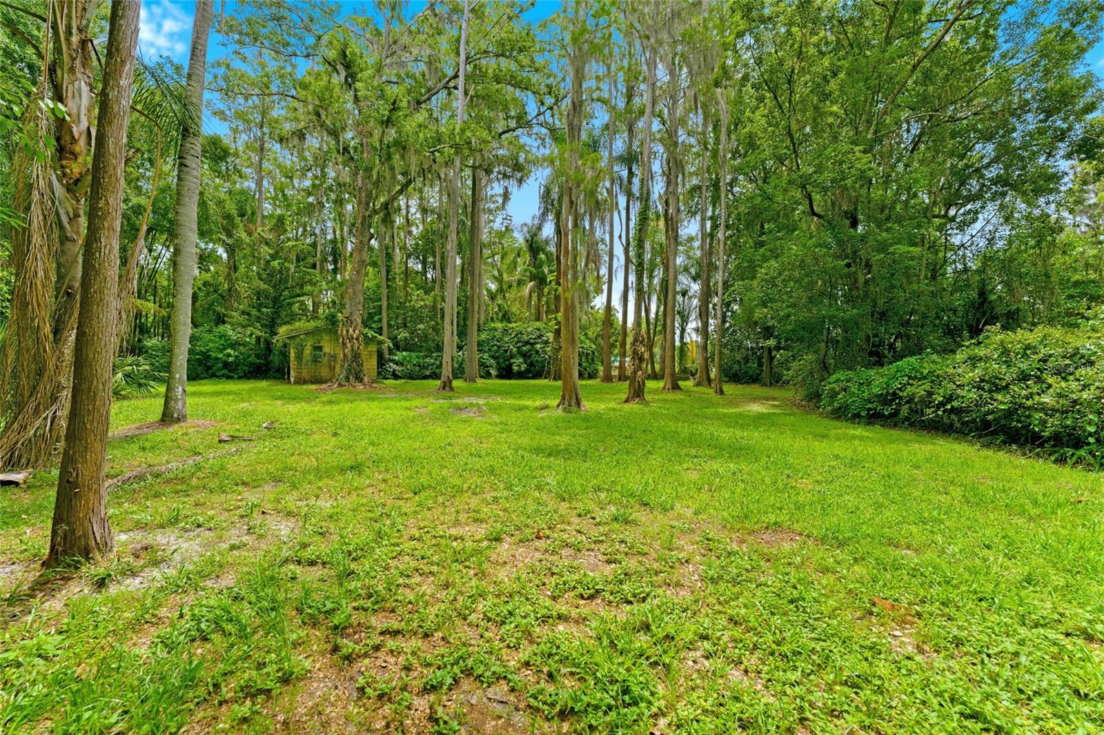 1444 Chesapeake Dr Property Photo 34