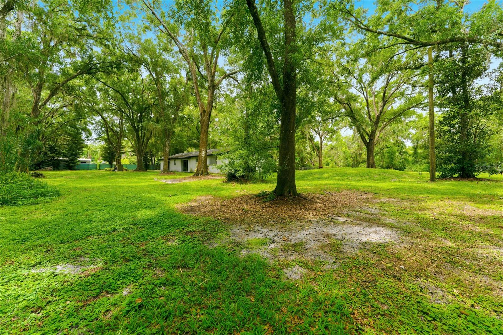 1444 Chesapeake Dr Property Photo 38