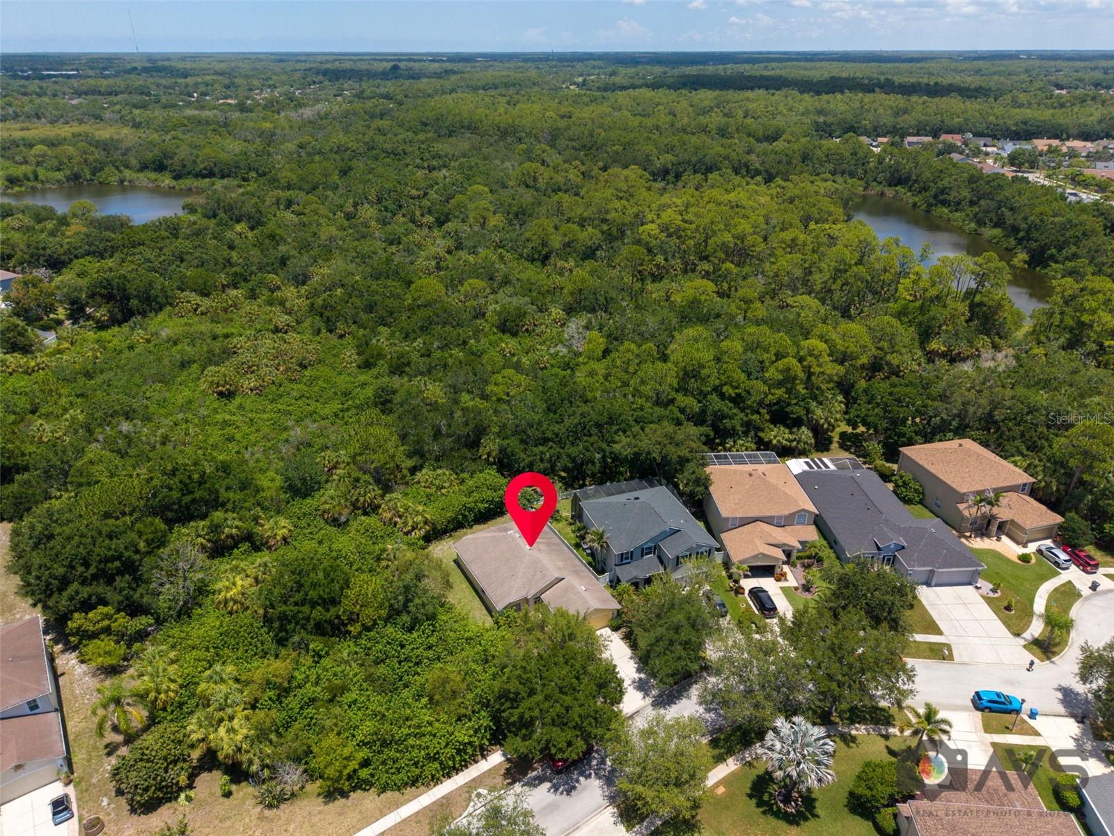 12415 Rustic View Ct Property Photo 52
