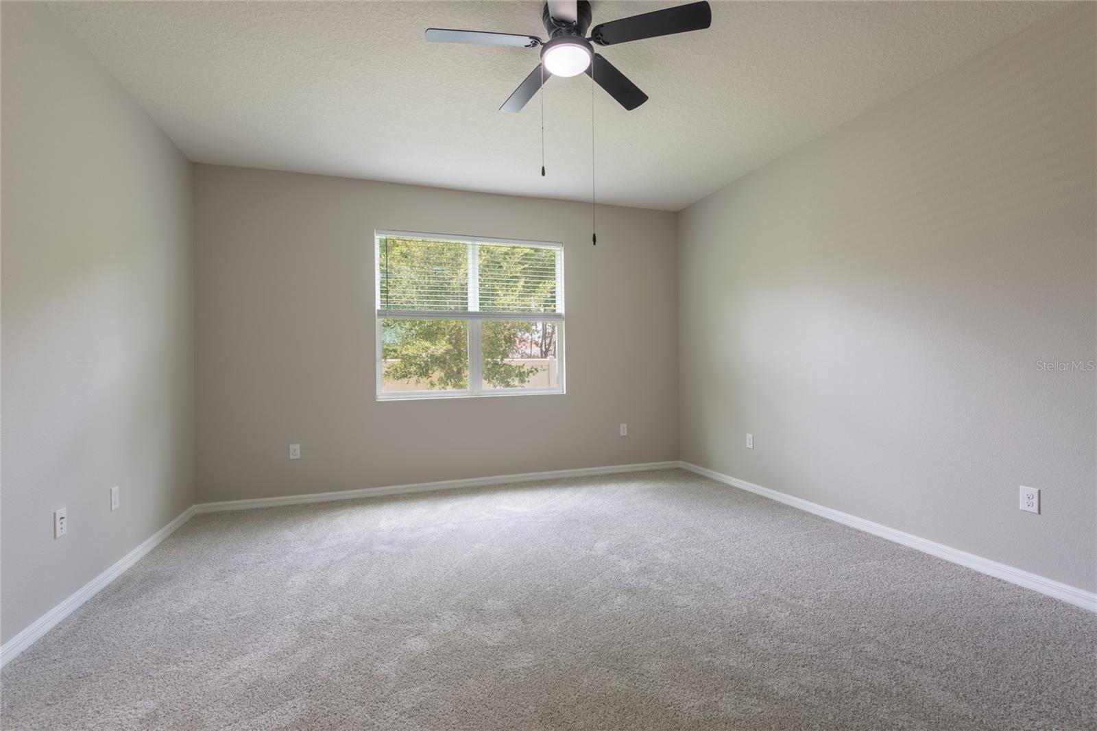 31420 Tansy Bnd Property Photo 36