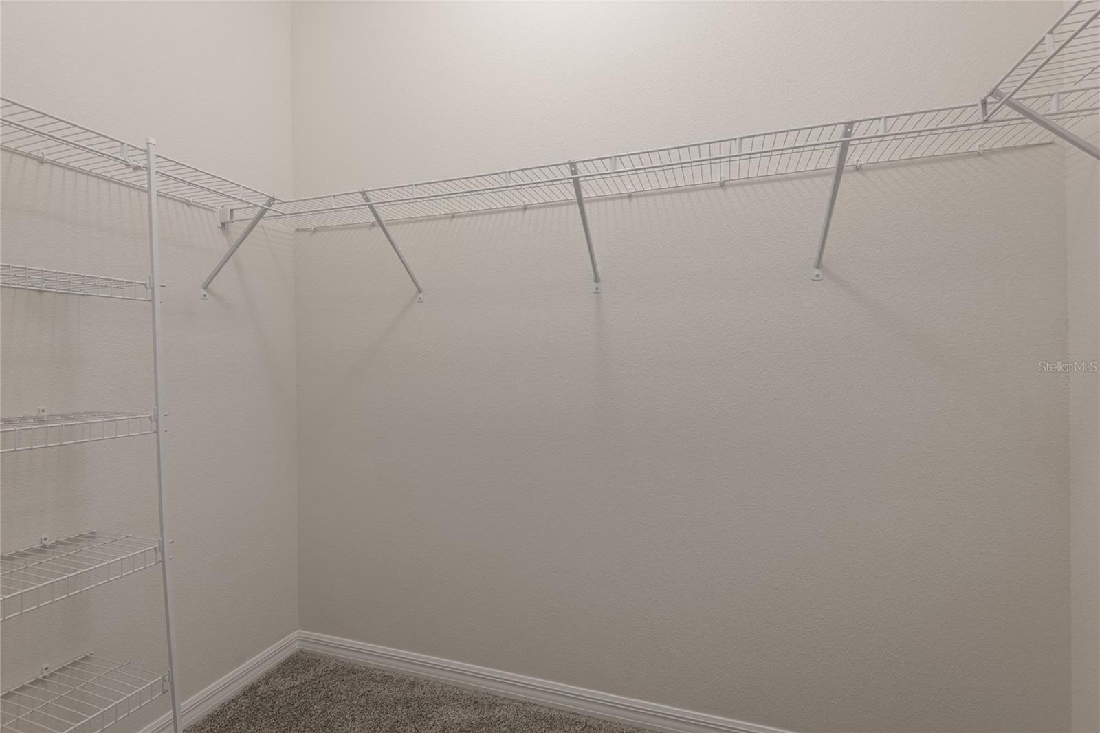 31420 Tansy Bnd Property Photo 40
