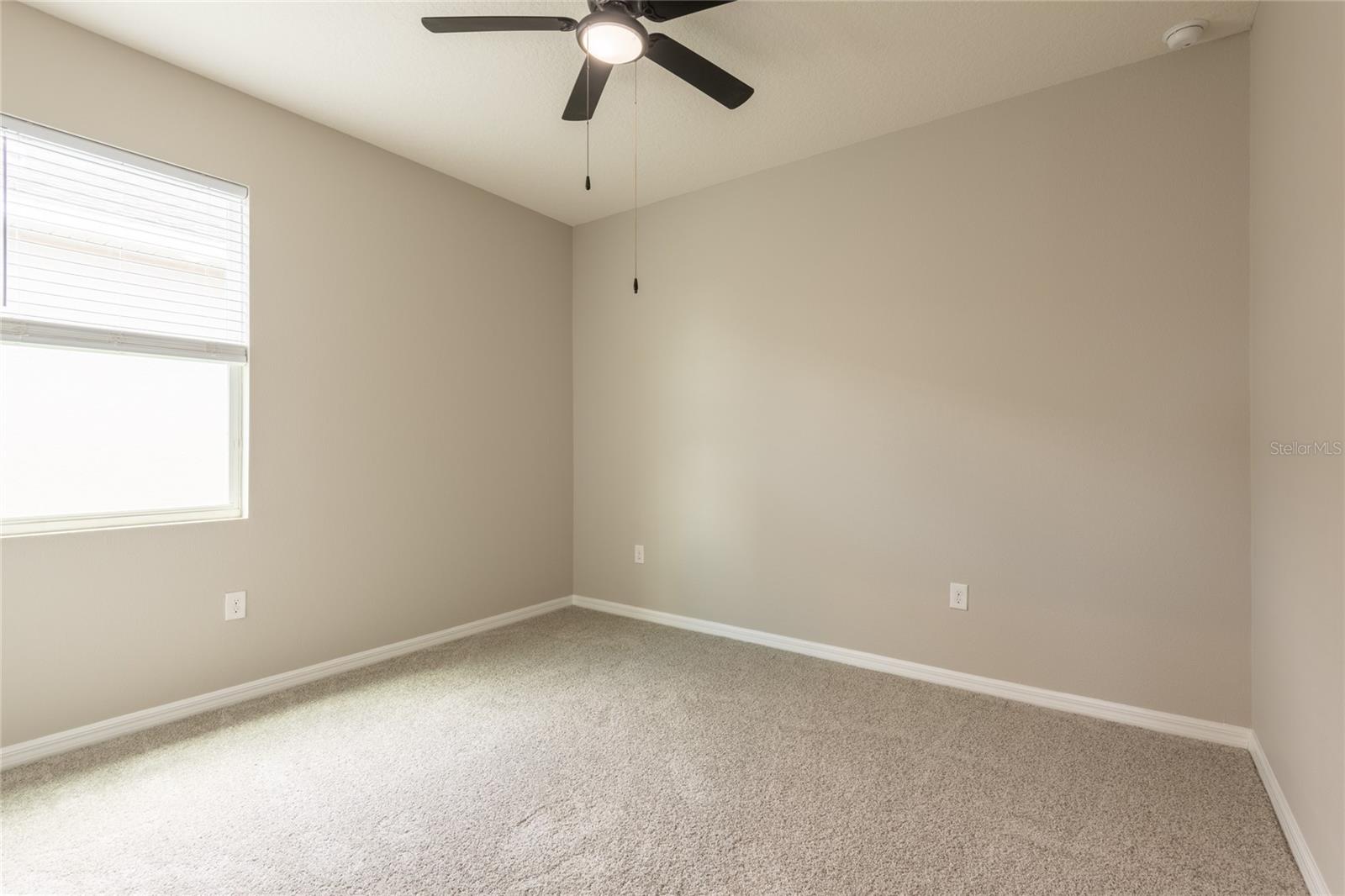 31420 Tansy Bnd Property Photo 49