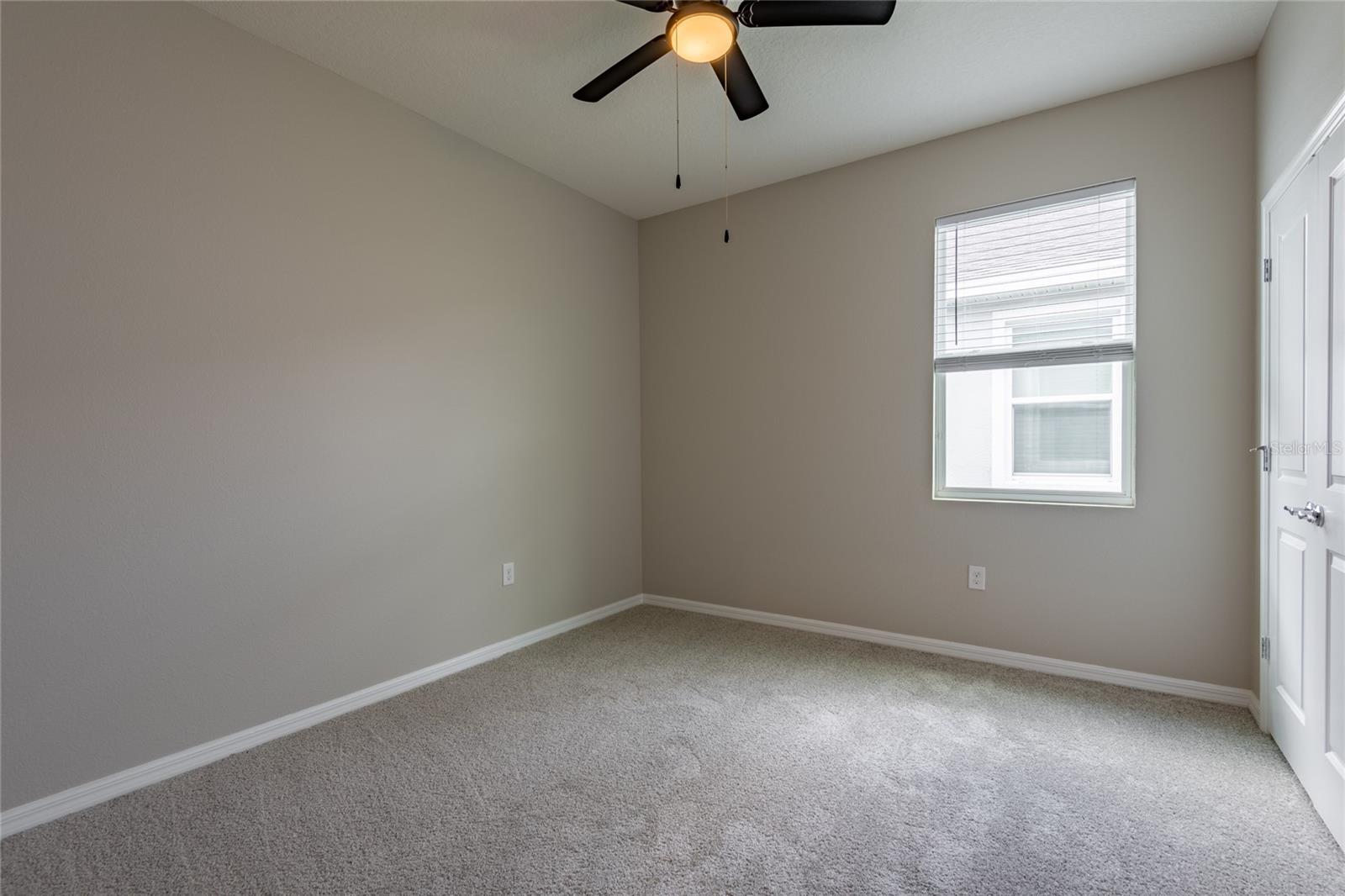 31420 Tansy Bnd Property Photo 51
