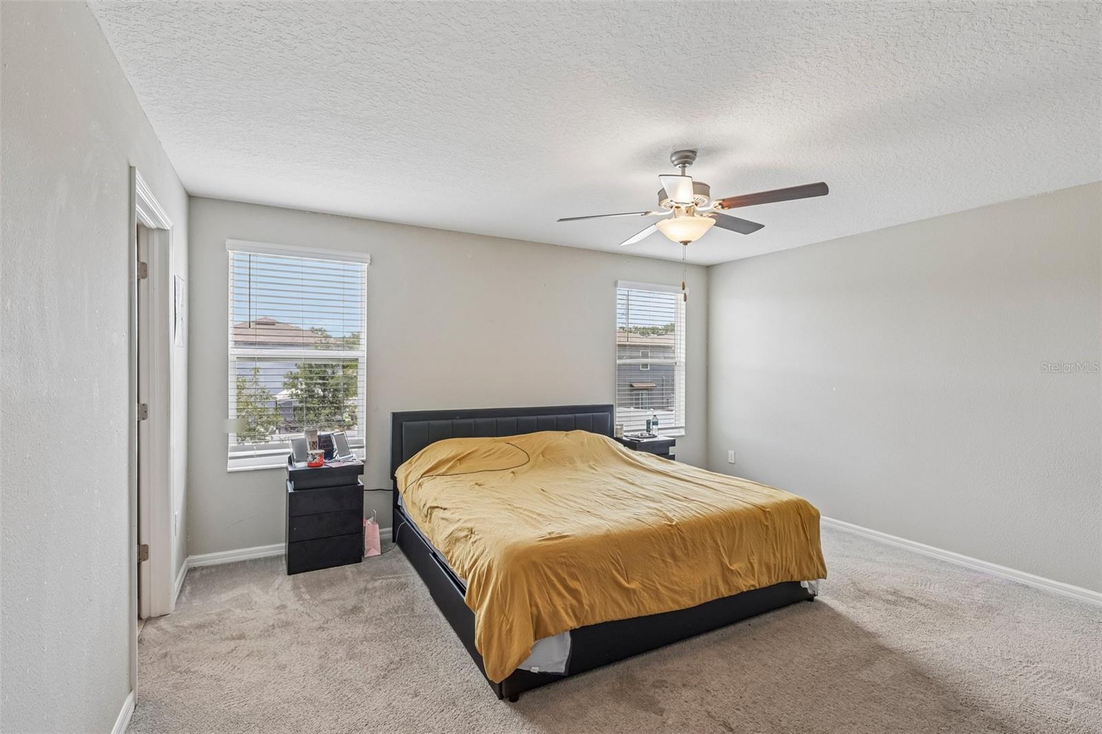 10360 Blue Plume Ct Property Photo 11
