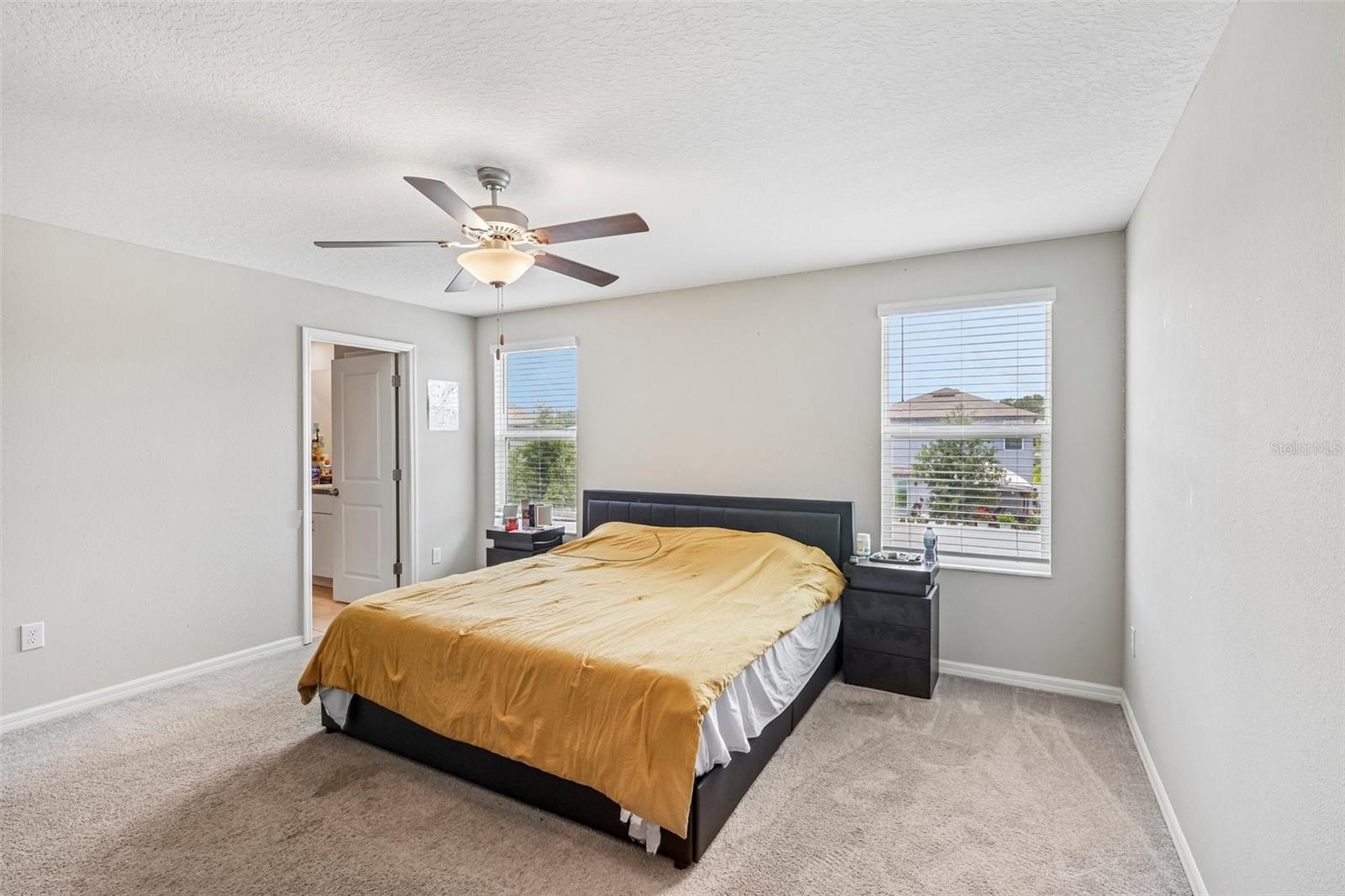 10360 Blue Plume Ct Property Photo 12