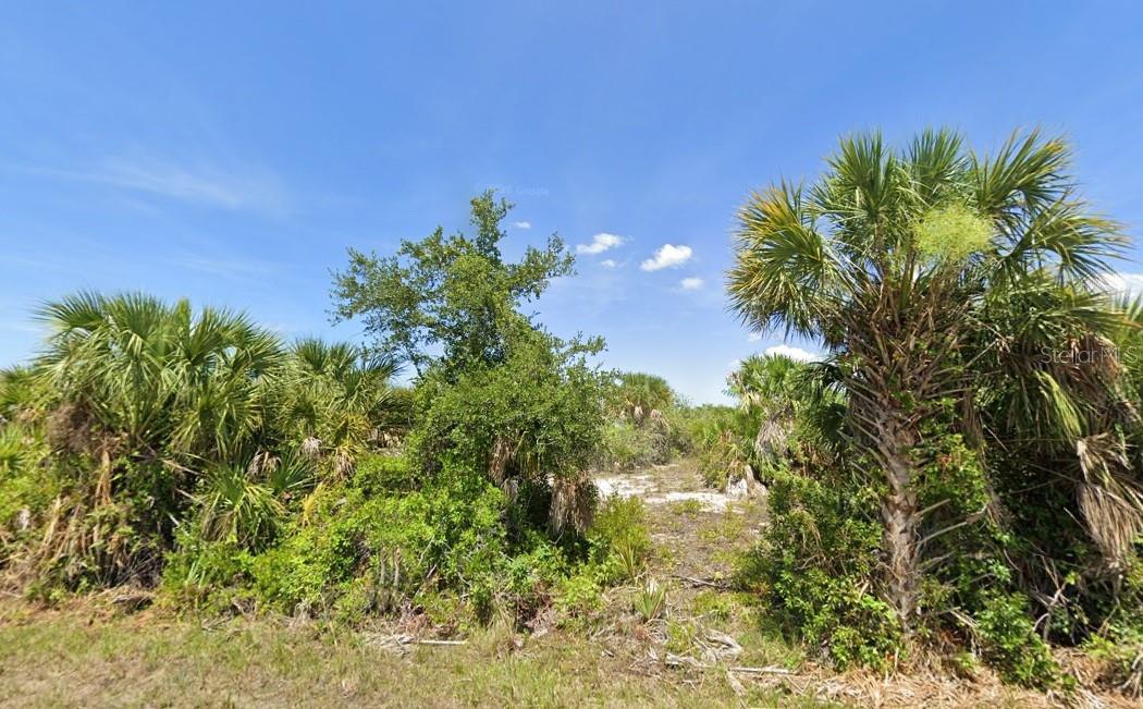 10038 Greetings St Property Photo 1