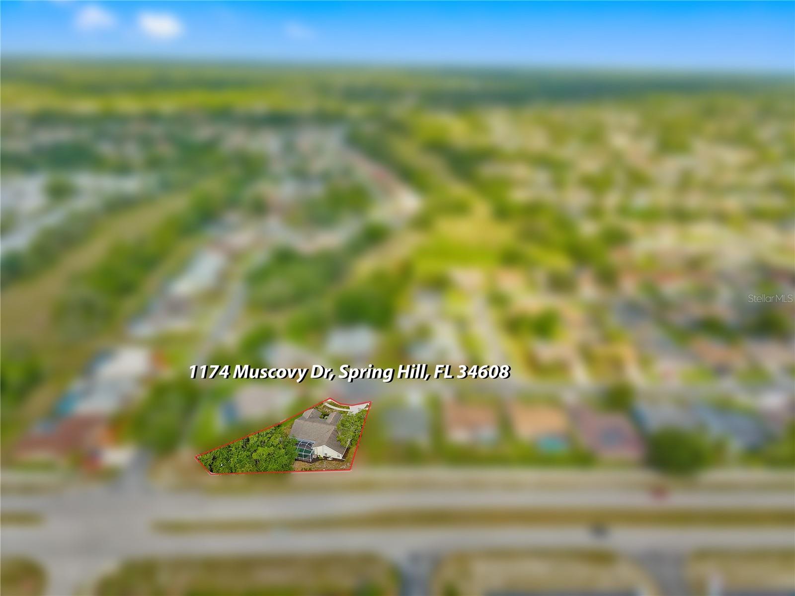1174 Muscovy Dr Property Photo 65