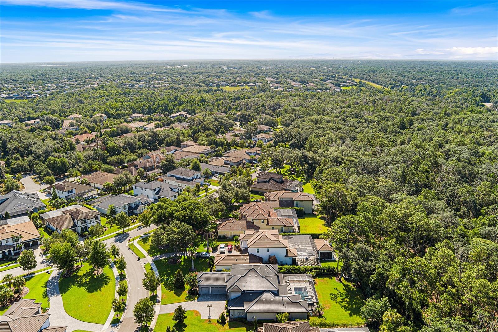 14704 Fishhawk Preserve Dr Property Photo 65