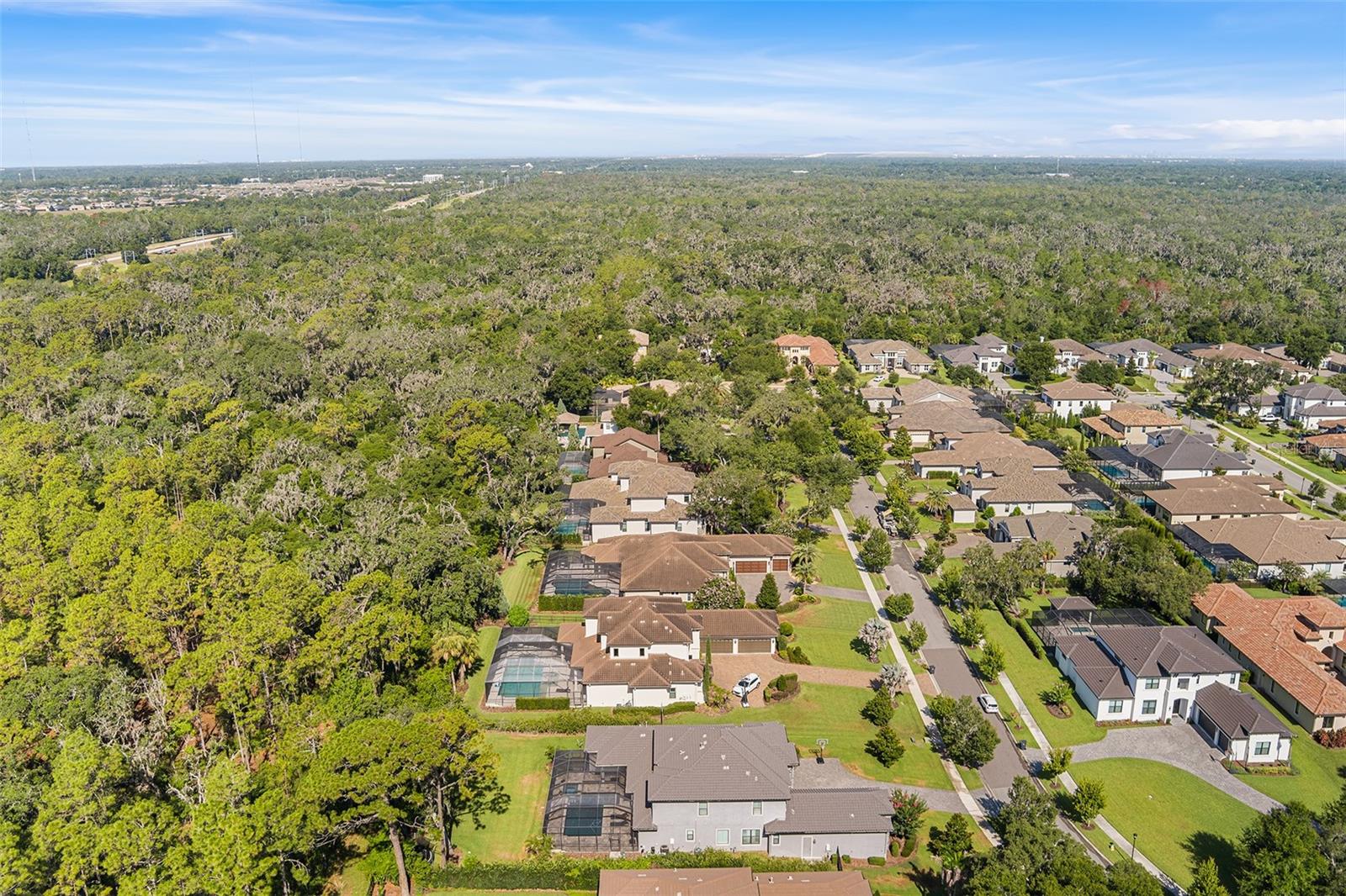 14704 Fishhawk Preserve Dr Property Photo 67
