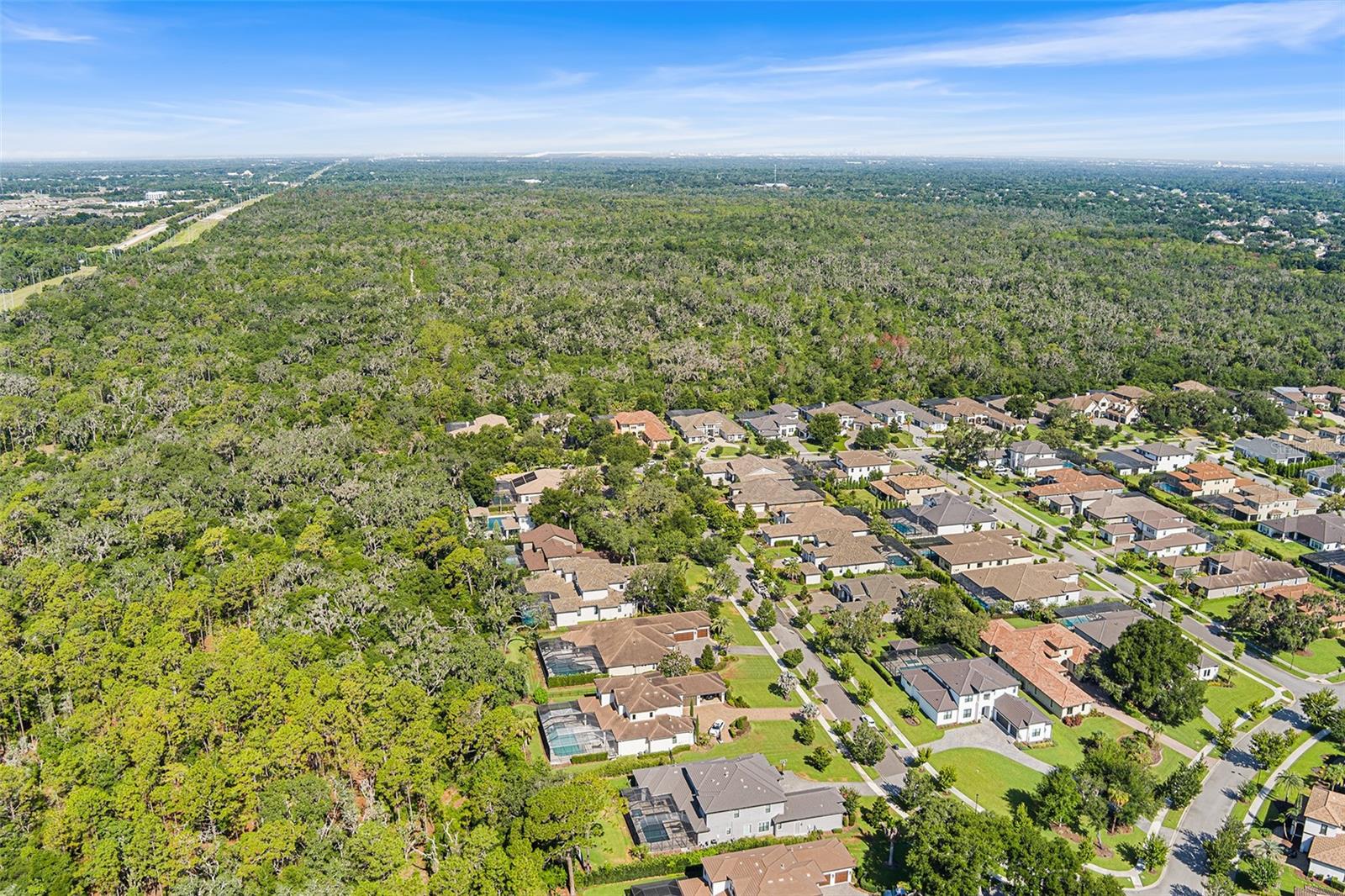 14704 Fishhawk Preserve Dr Property Photo 69