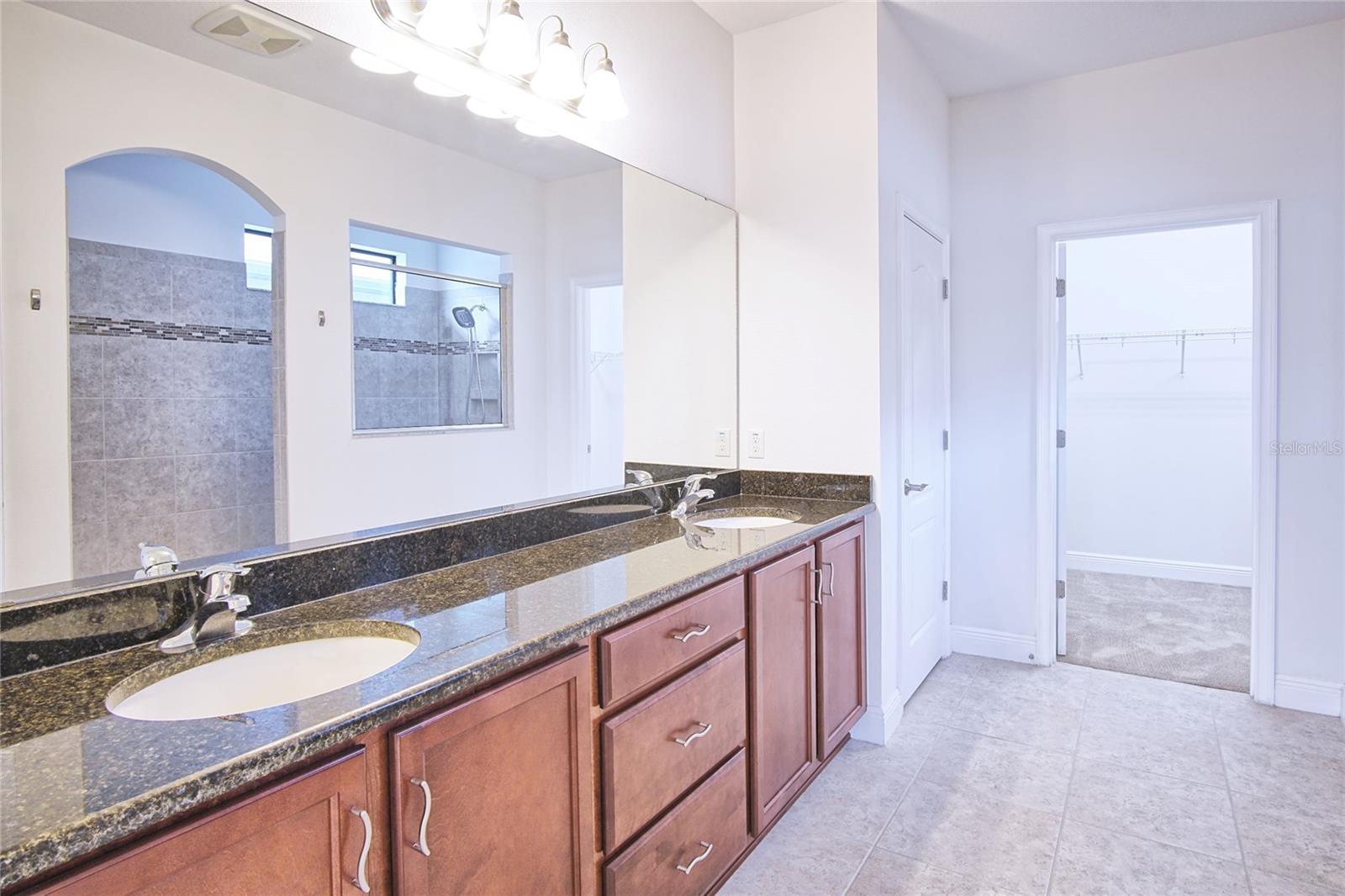 11619 Iris Spring Ct Property Photo 23