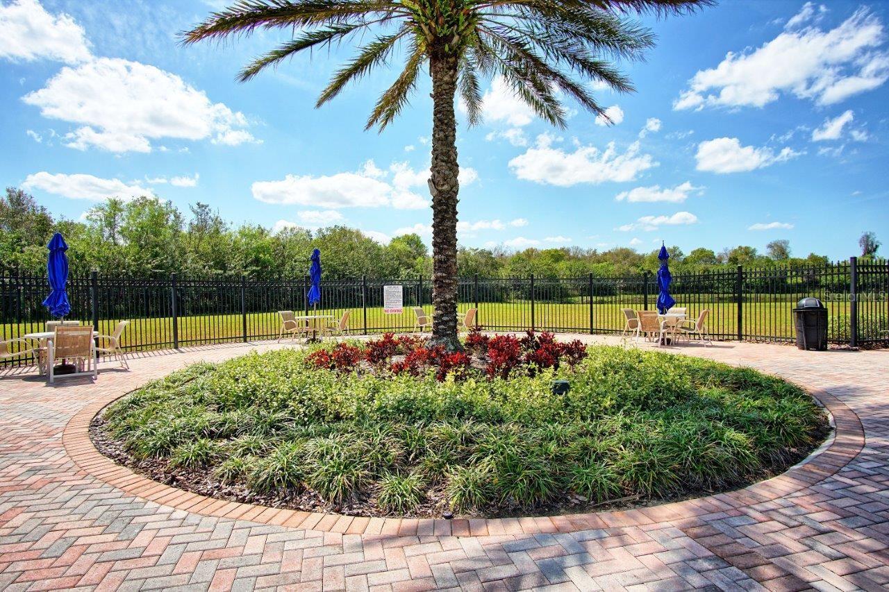 11619 Iris Spring Ct Property Photo 35