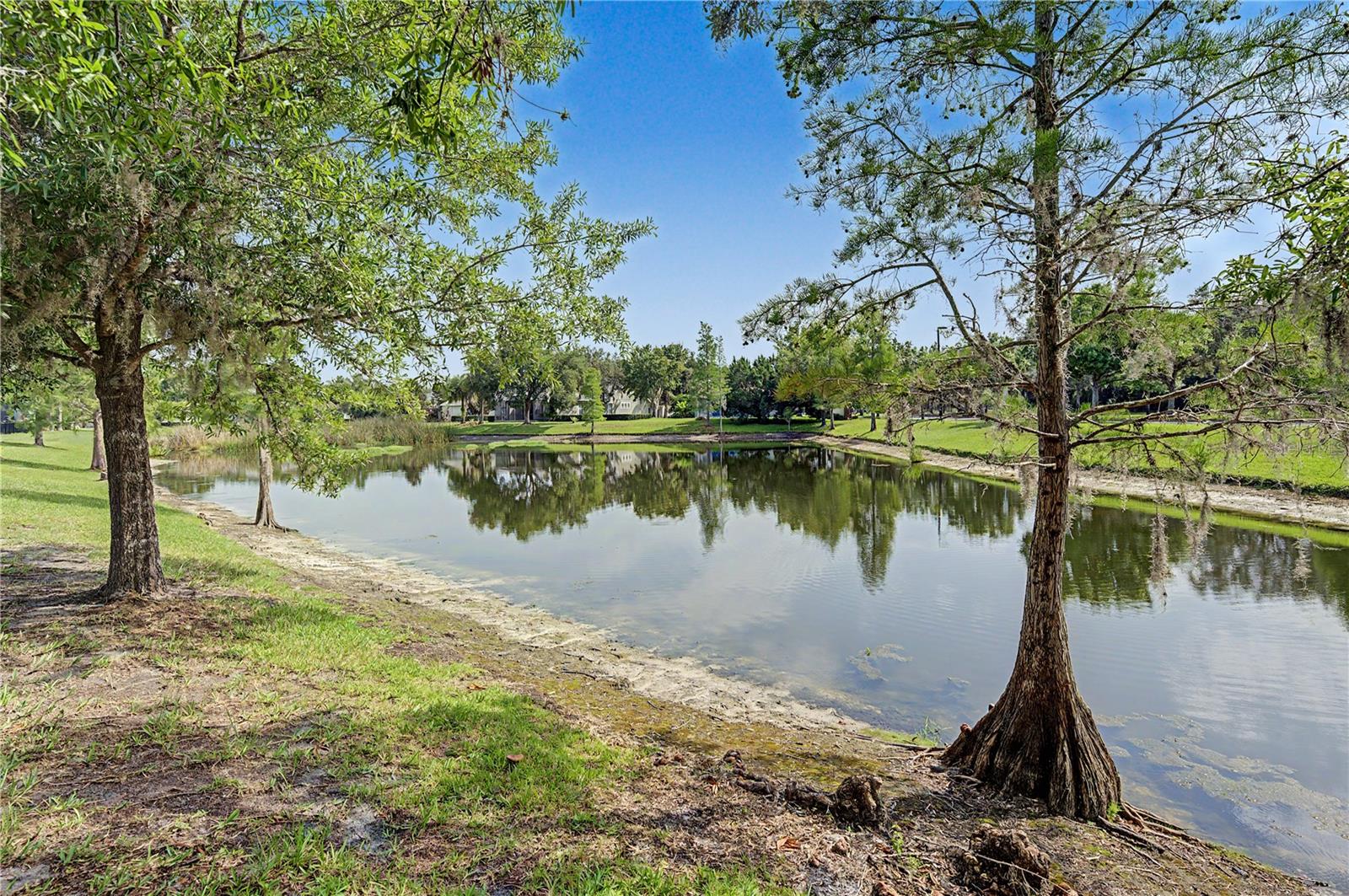 8152 Lagerfeld Dr Property Photo 39