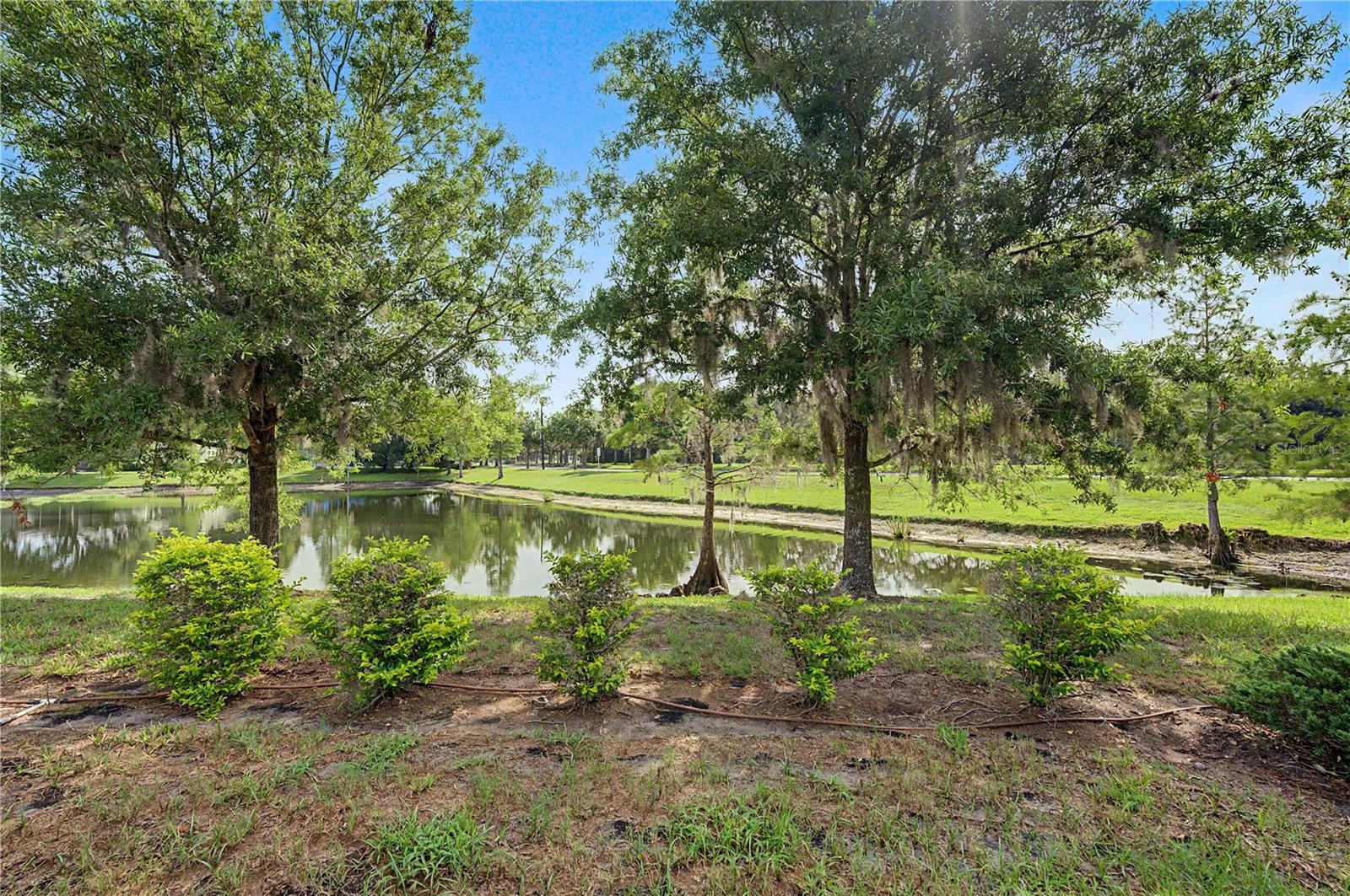 8152 Lagerfeld Dr Property Photo 42