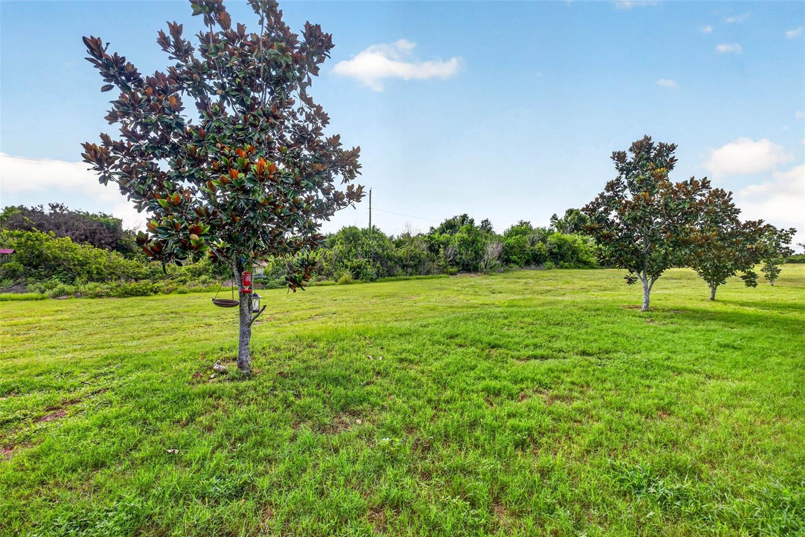 11514 Leland Groves Dr Property Photo 36