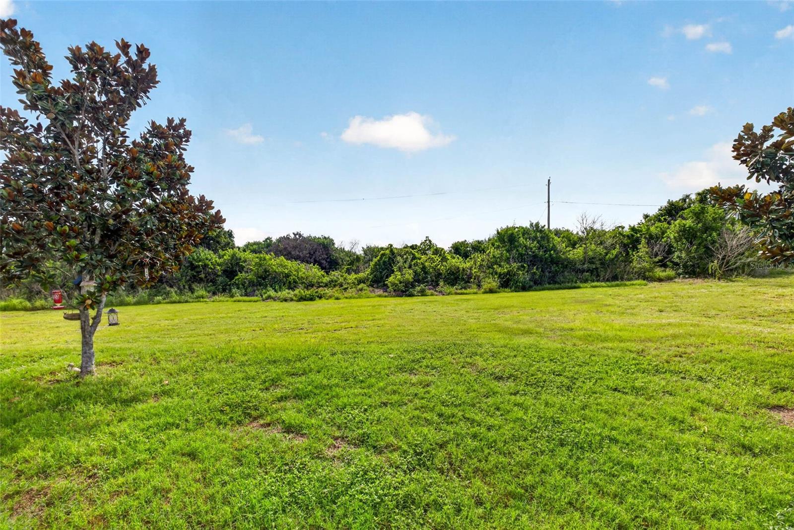 11514 Leland Groves Dr Property Photo 37