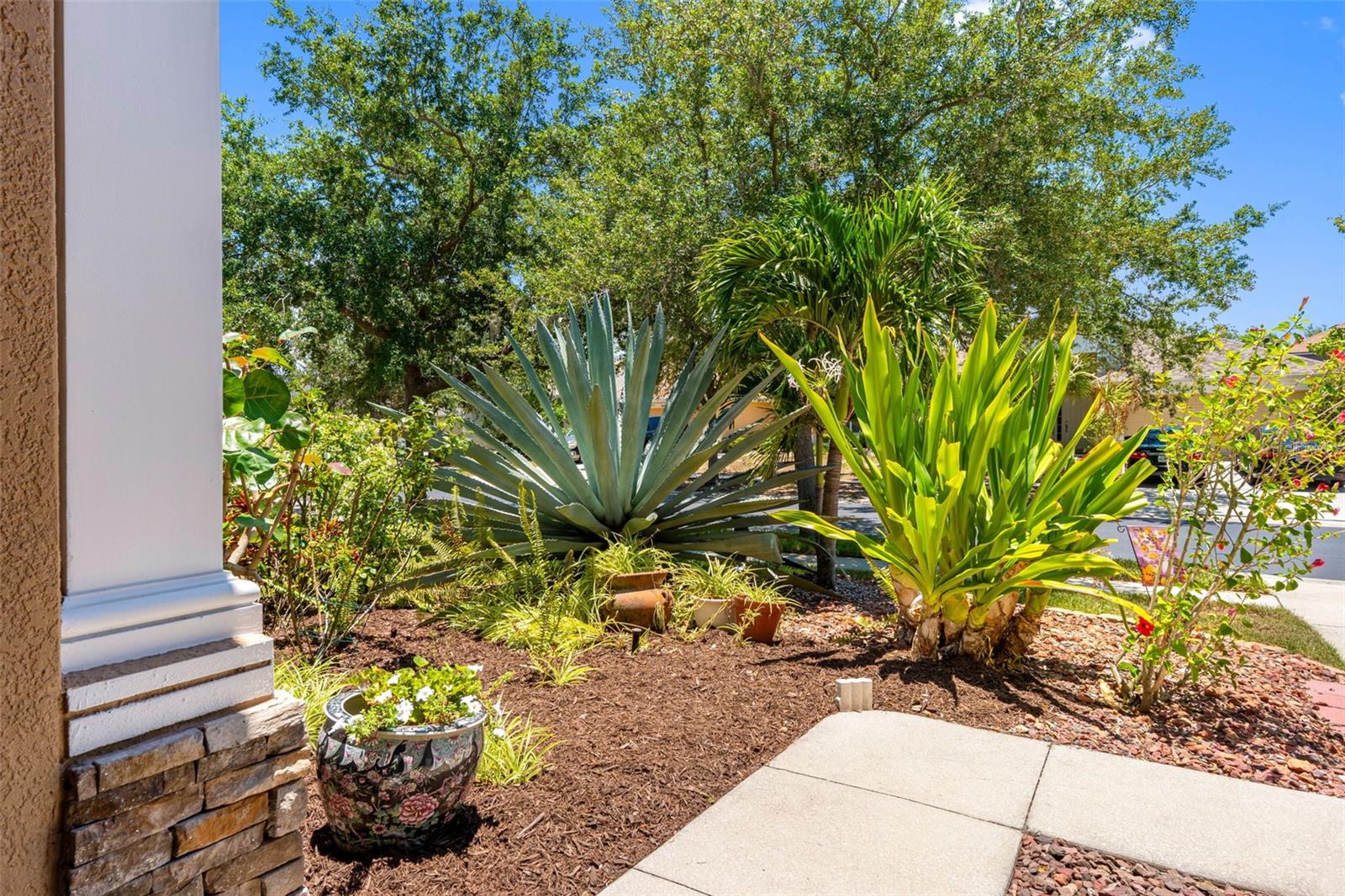 5335 Clover Mist Dr Property Photo 7