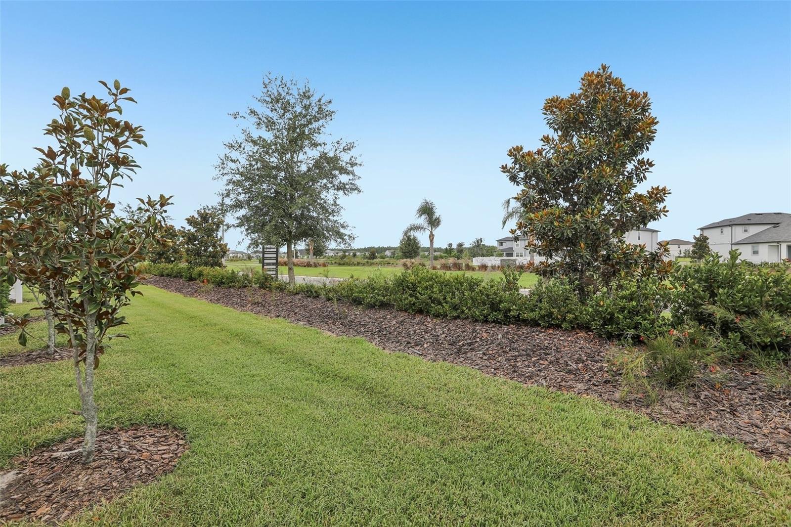 31337 Amberview Bnd Property Photo 20