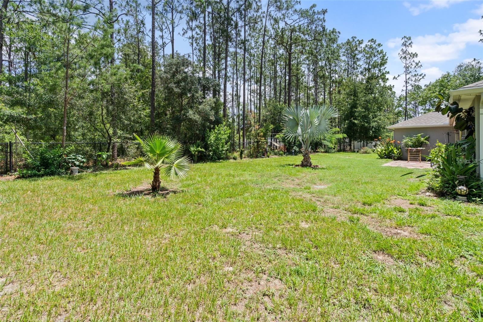 15577 Sago Dr Property Photo 31