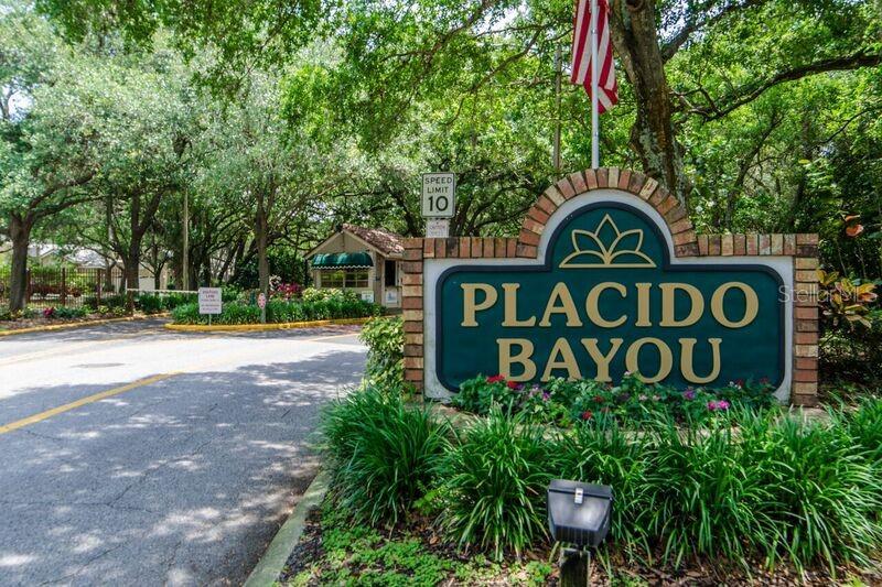 5274 White Sand Cir Ne Property Photo 46