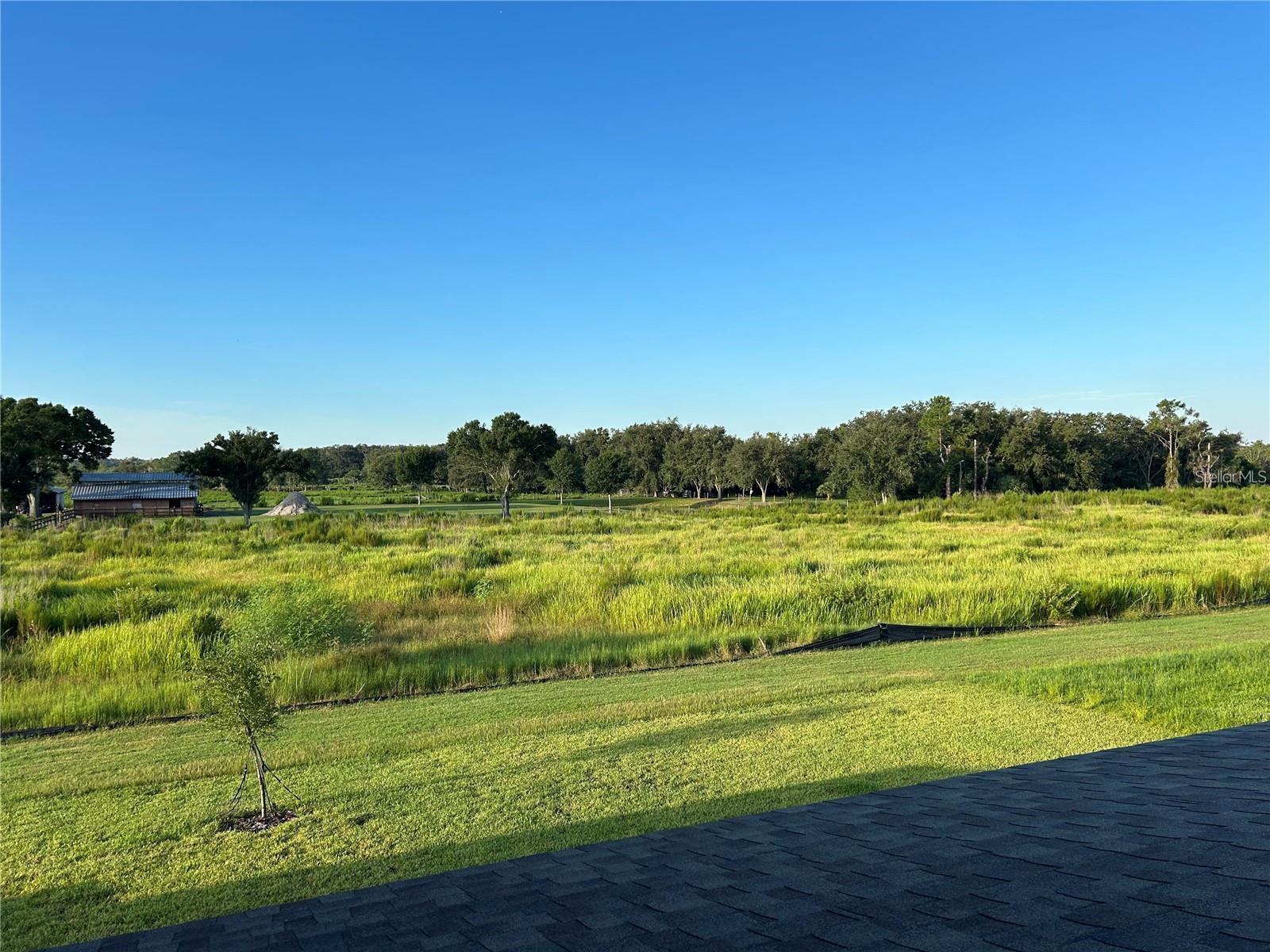 13150 Wellspring Dr Property Photo 33