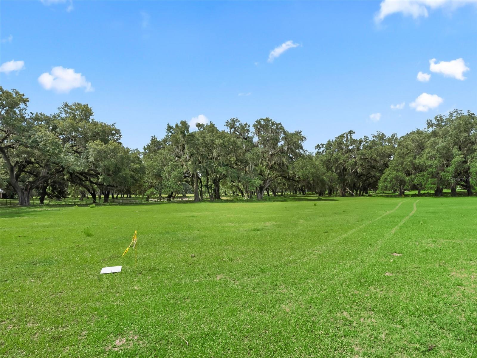 Lot 11 Cr 543 Property Photo 3
