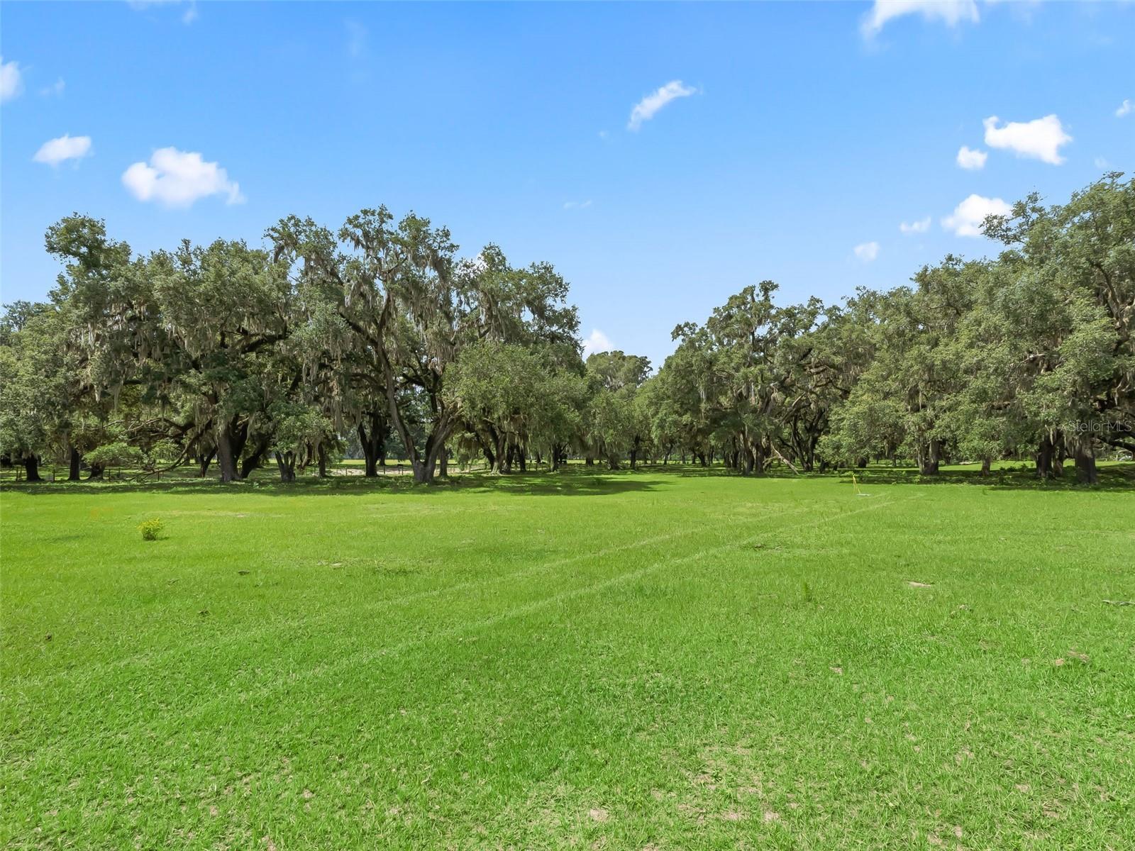 Lot 11 Cr 543 Property Photo 4