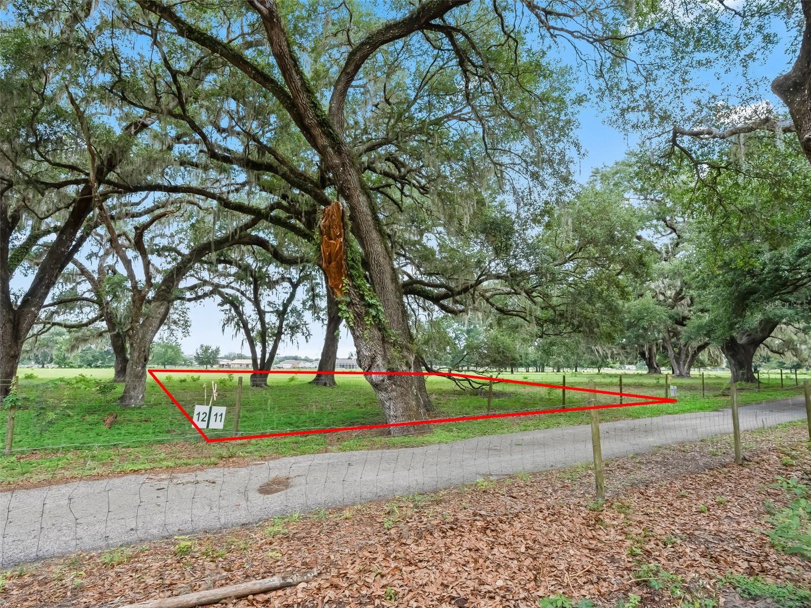 Lot 11 Cr 543 Property Photo 9