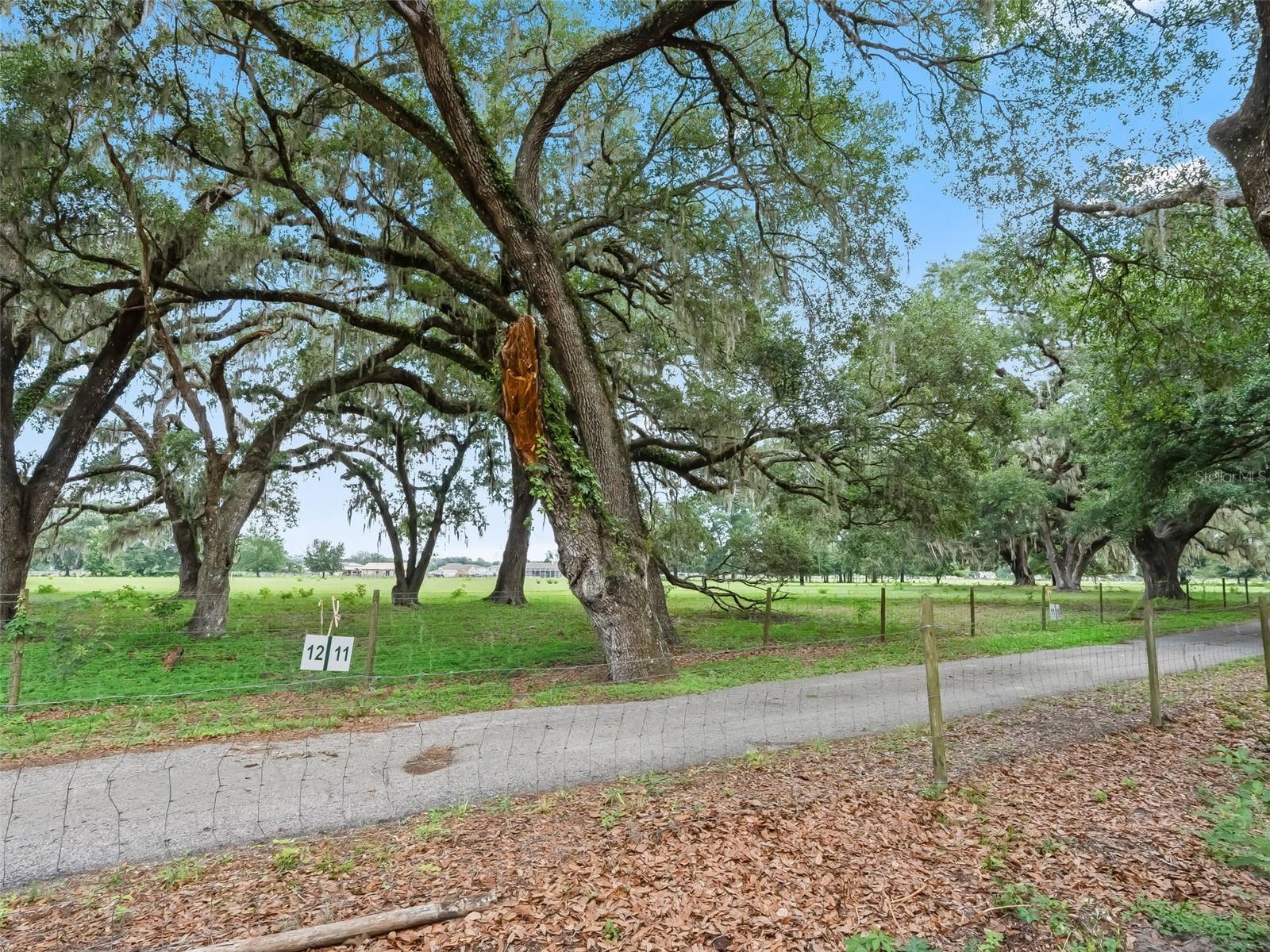 Lot 11 Cr 543 Property Photo 10