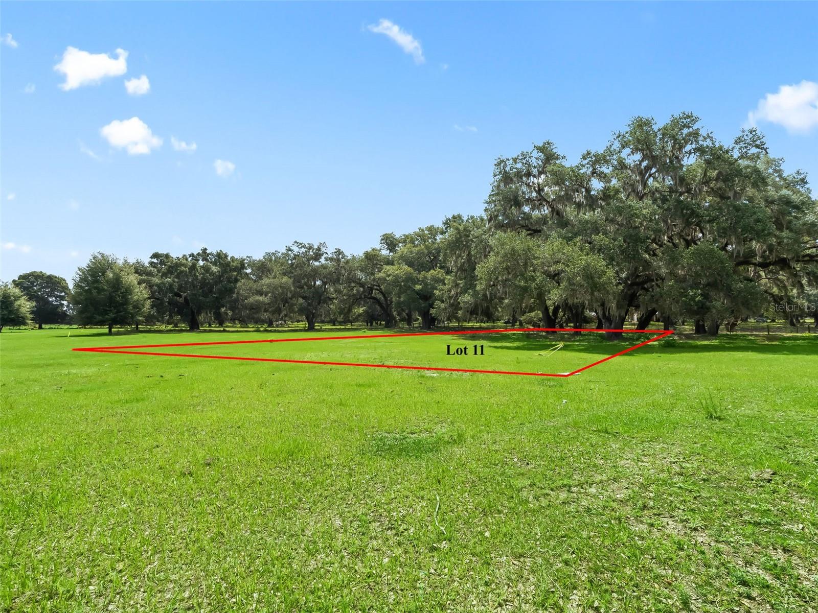 Lot 11 Cr 543 Property Photo 11