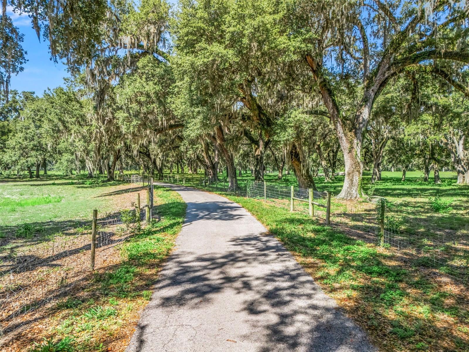 Lot 11 Cr 543 Property Photo 27