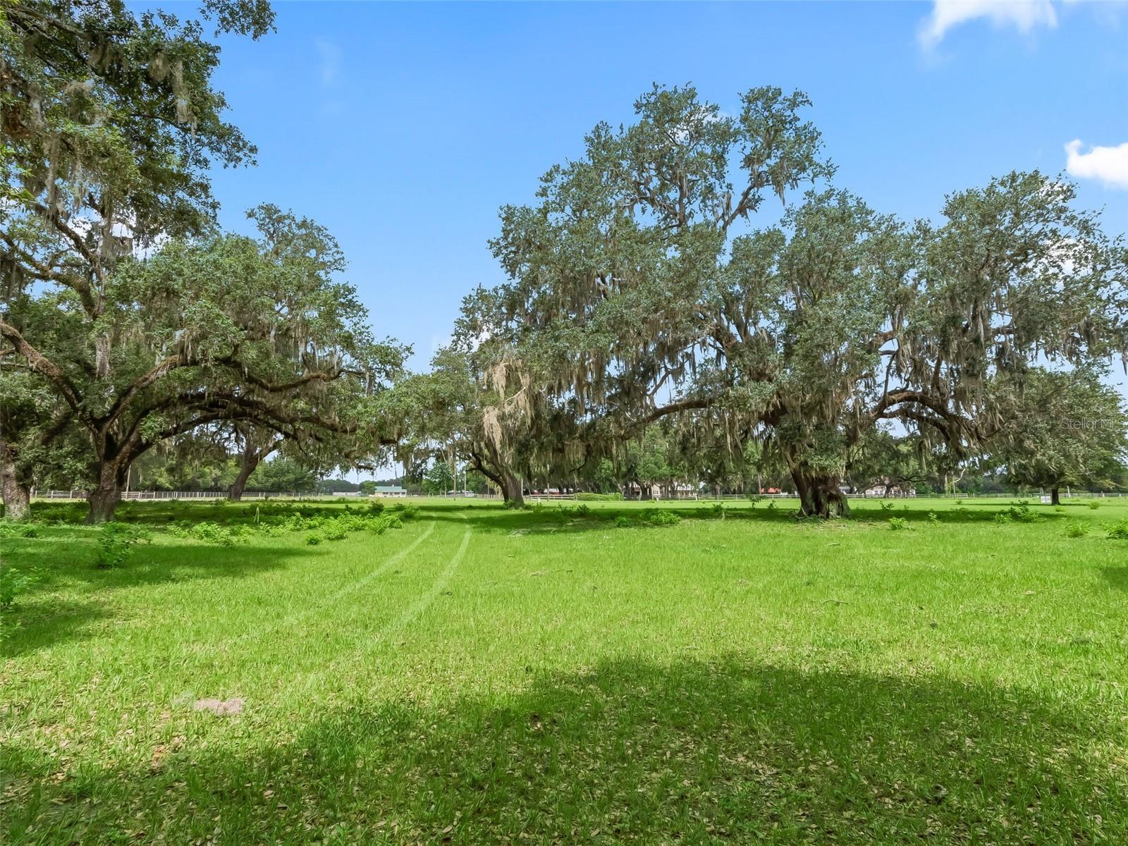 Lot 11 Cr 543 Property Photo 28