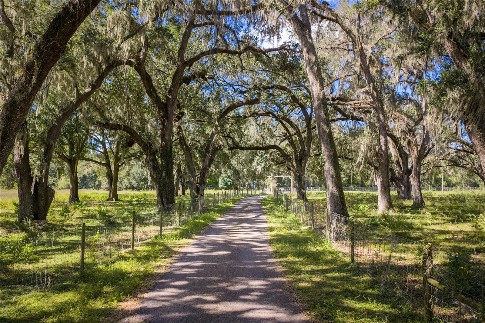 Lot 11 Cr 543 Property Photo 29