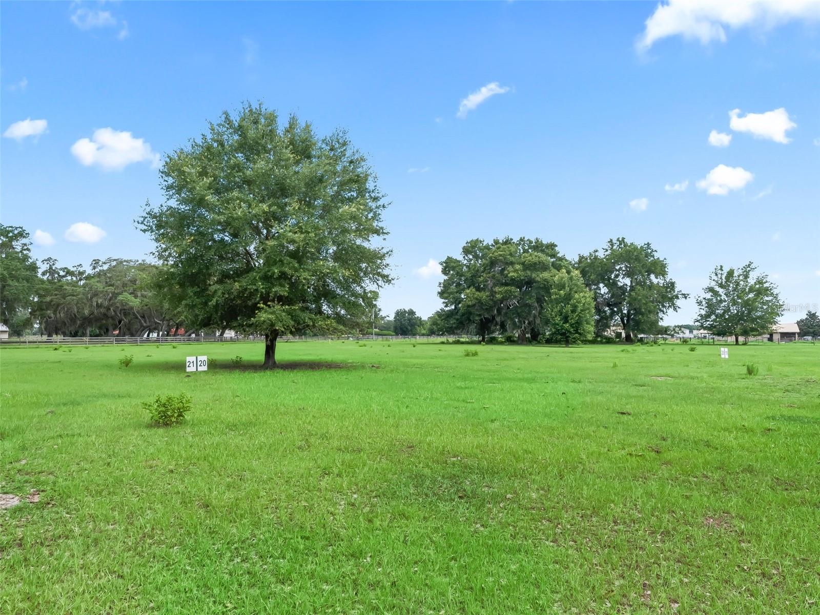 Lot 20 CR 543 Property Photo 1