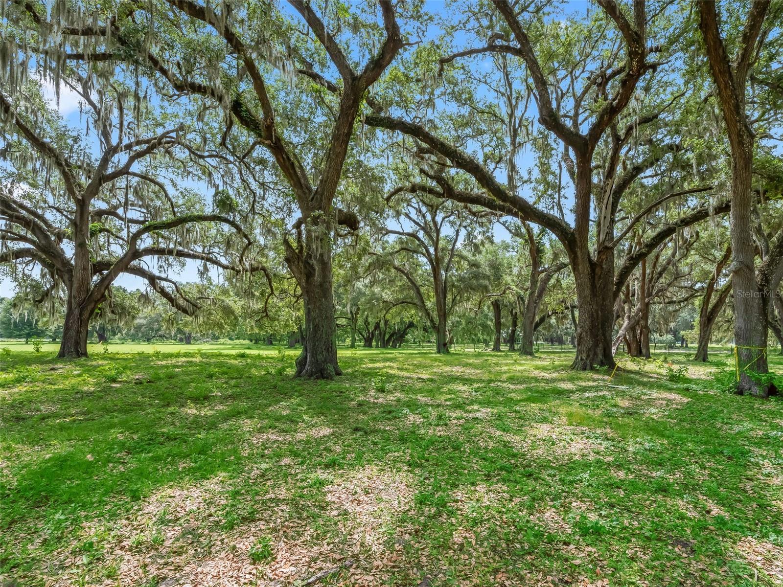 Lot 12 CR 543 Property Photo 1