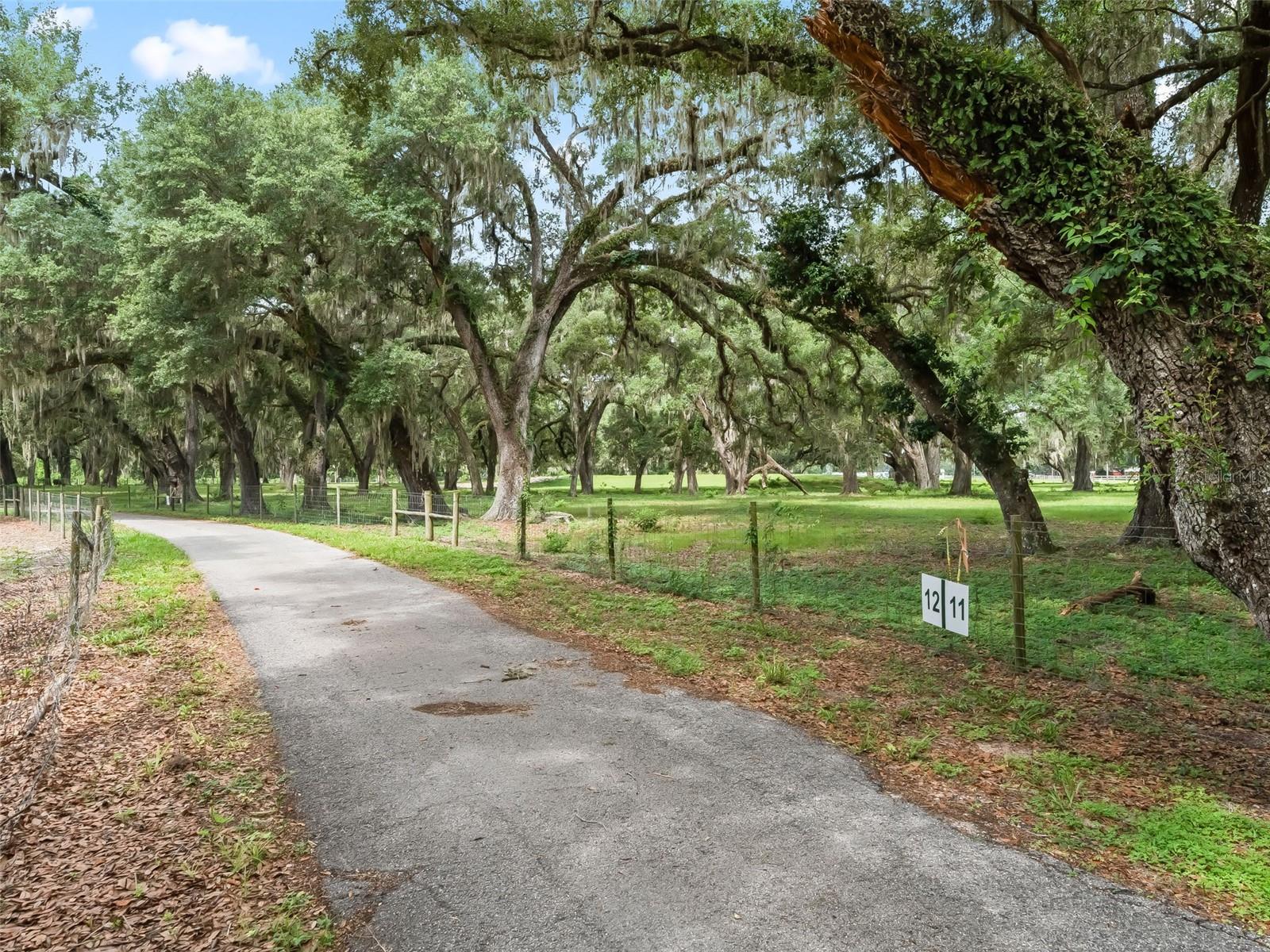 Lot 12 Cr 543 Property Photo 2