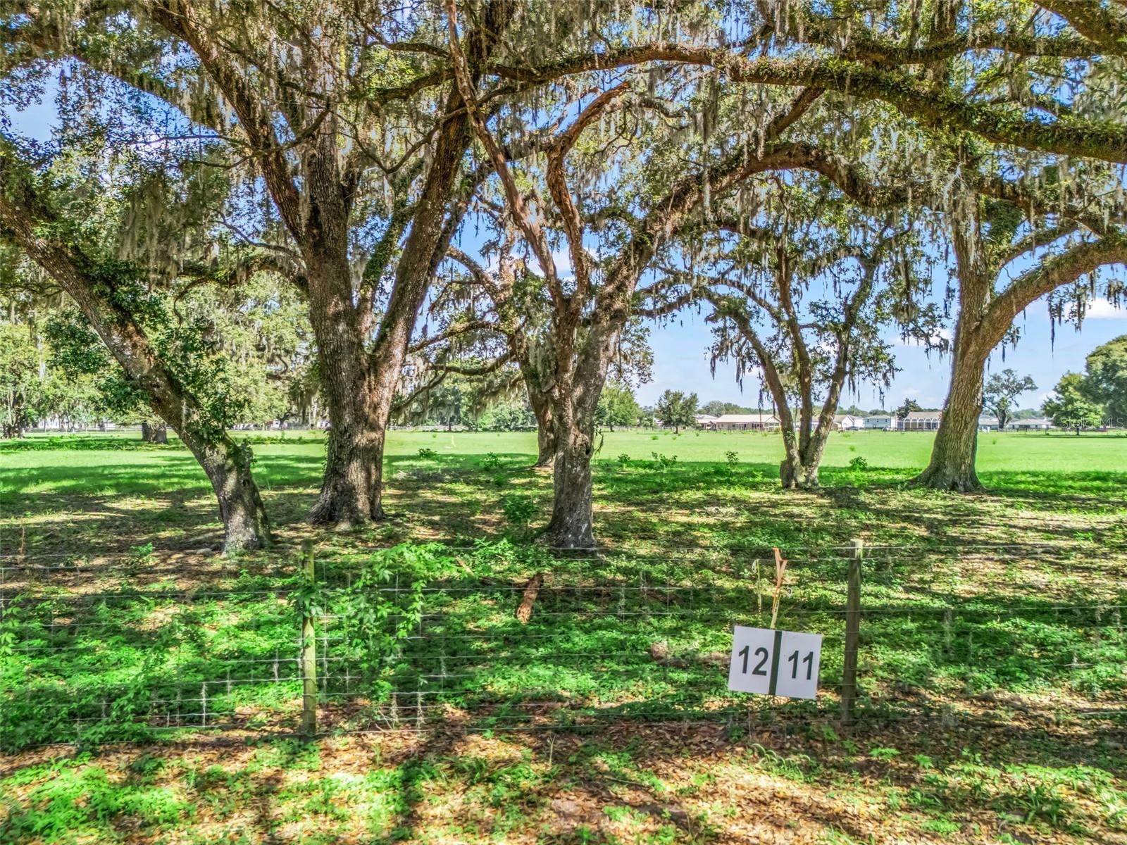 Lot 12 Cr 543 Property Photo 3