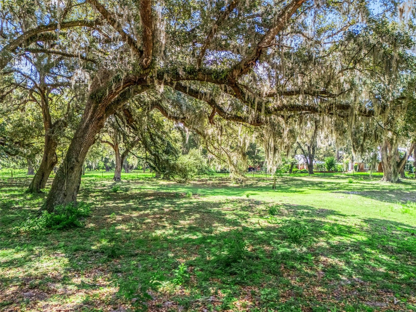 Lot 12 Cr 543 Property Photo 4