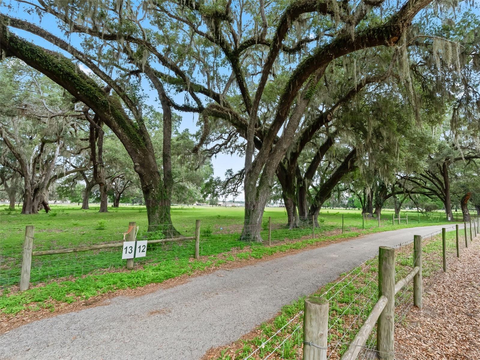 Lot 12 Cr 543 Property Photo 6
