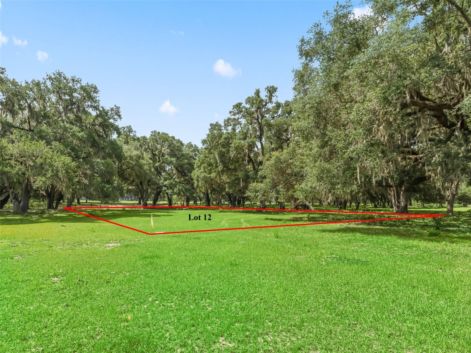 Lot 12 Cr 543 Property Photo 9