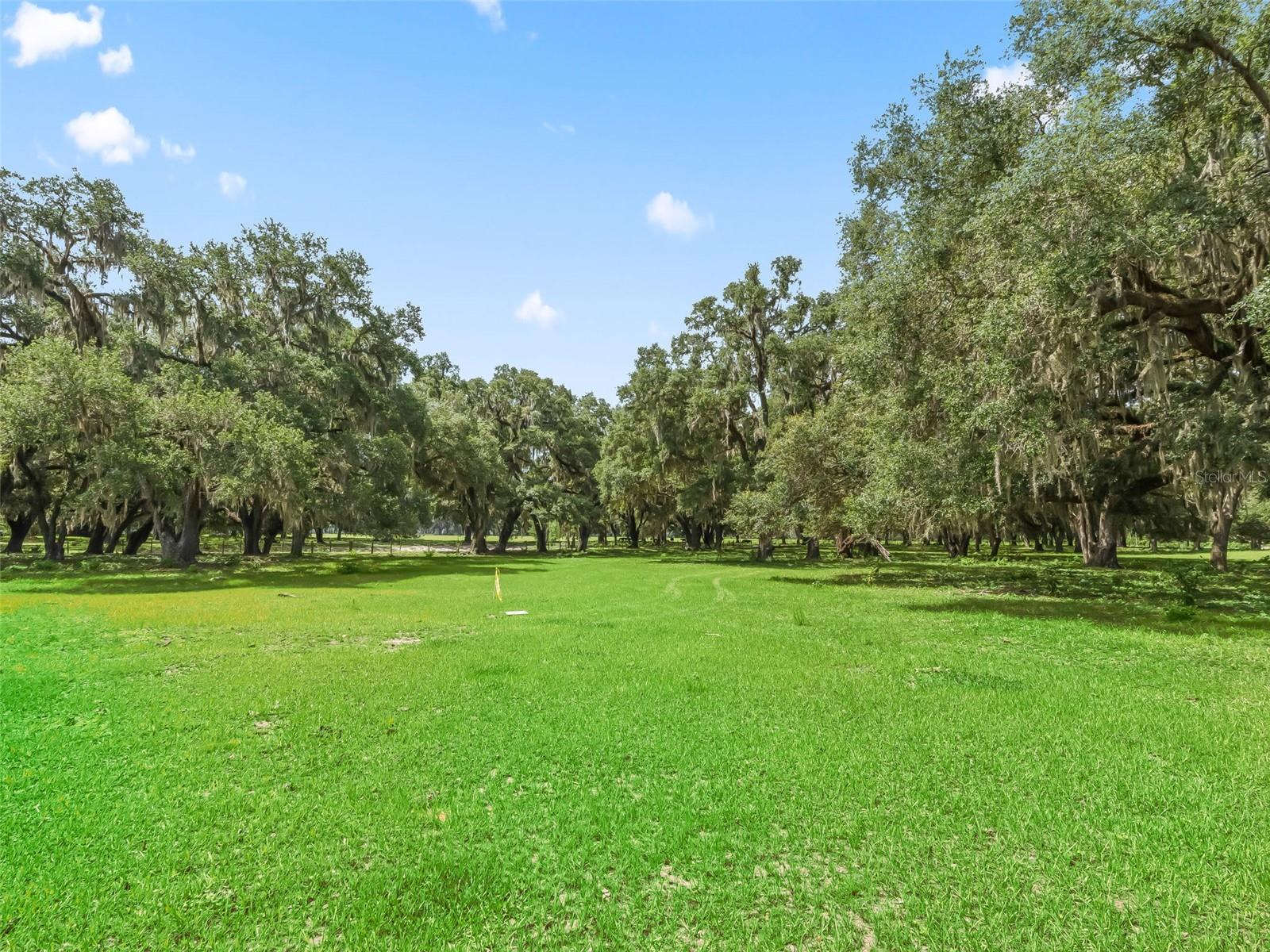 Lot 12 Cr 543 Property Photo 11