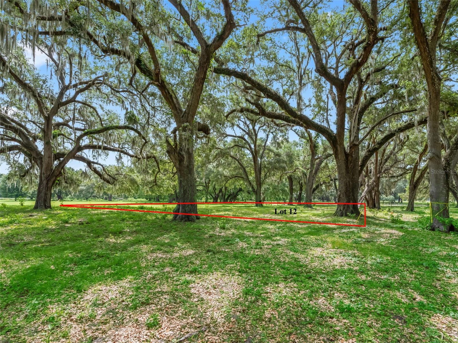 Lot 12 Cr 543 Property Photo 12