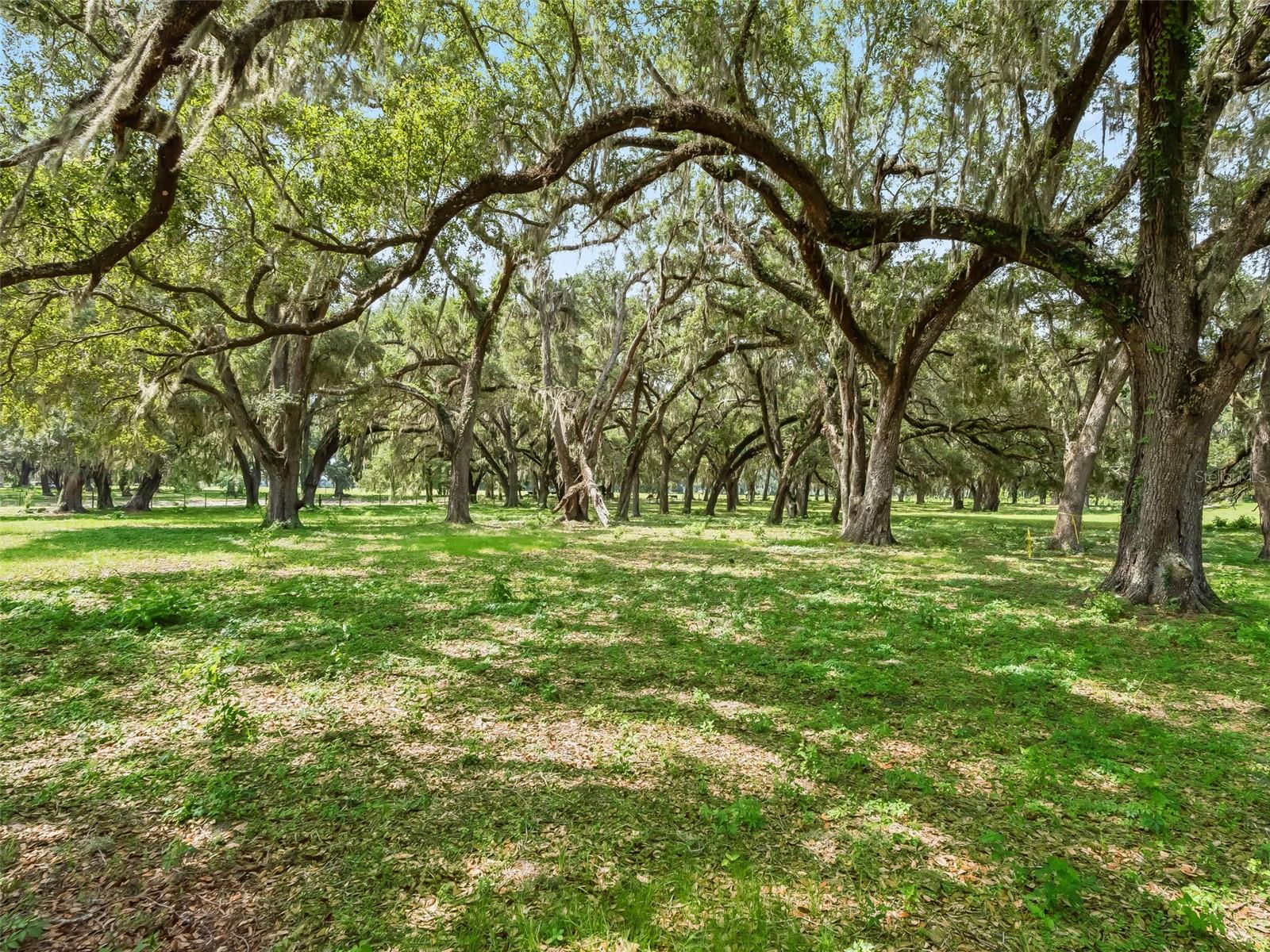 Lot 12 Cr 543 Property Photo 13
