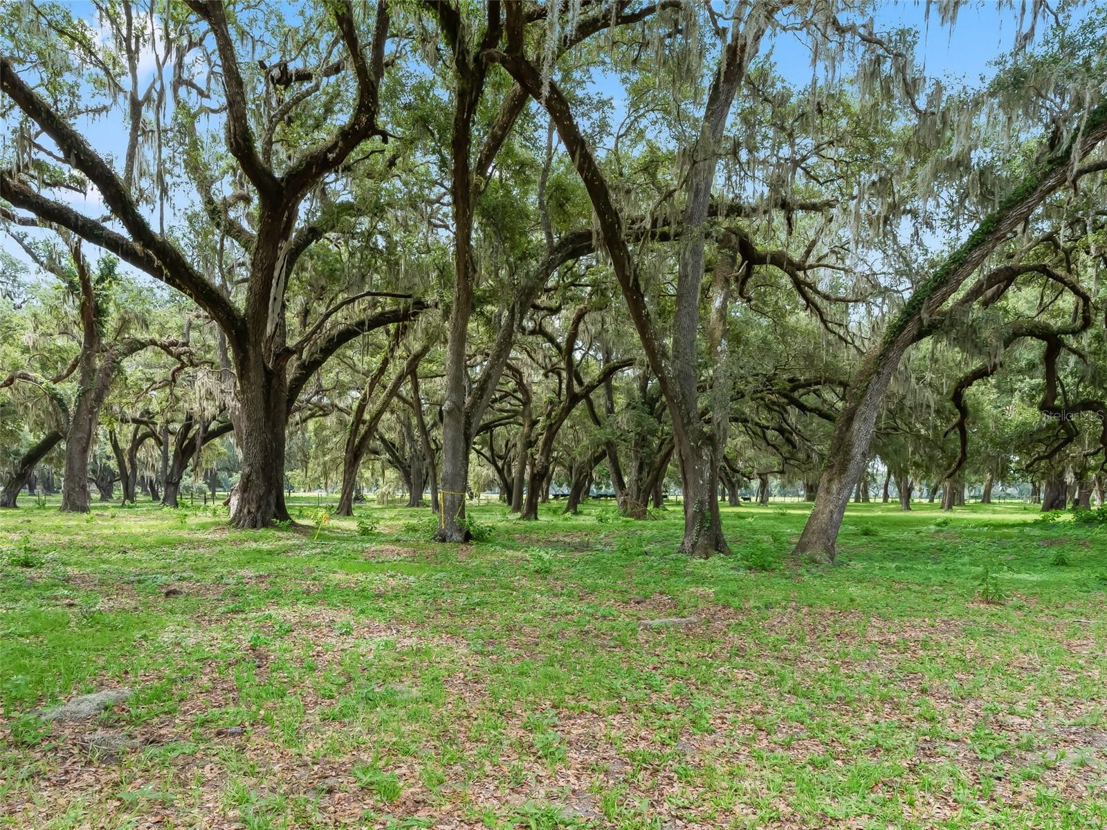 Lot 12 Cr 543 Property Photo 14
