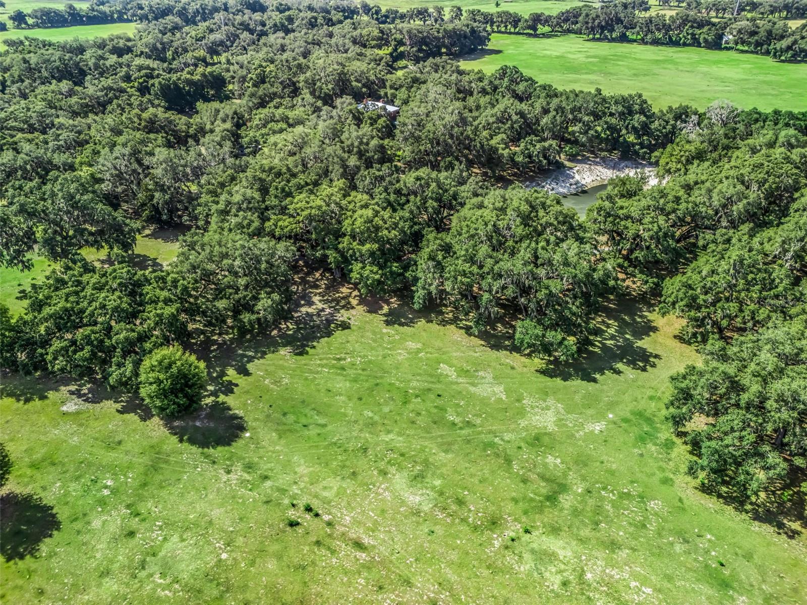 Lot 12 Cr 543 Property Photo 15