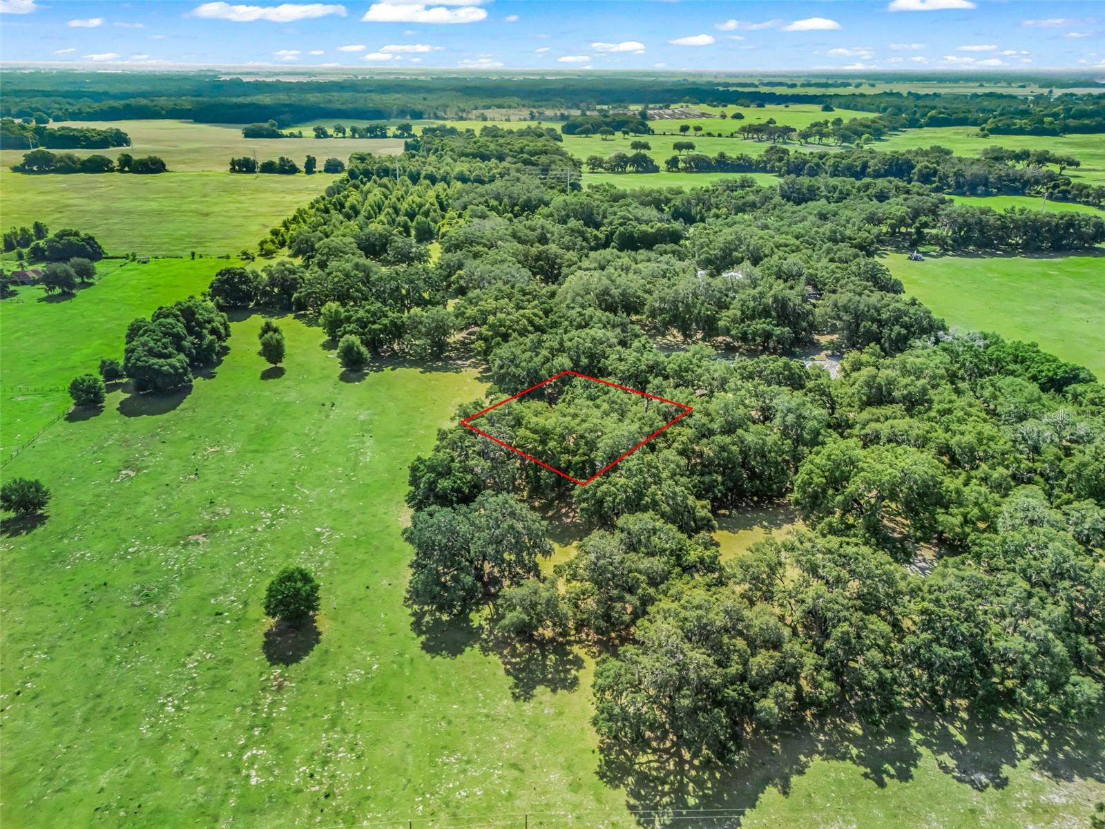 Lot 12 Cr 543 Property Photo 19