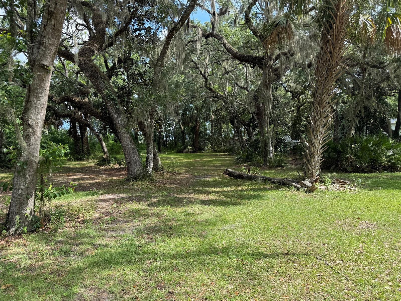 5217 E Parsons Point Rd Property Photo 3